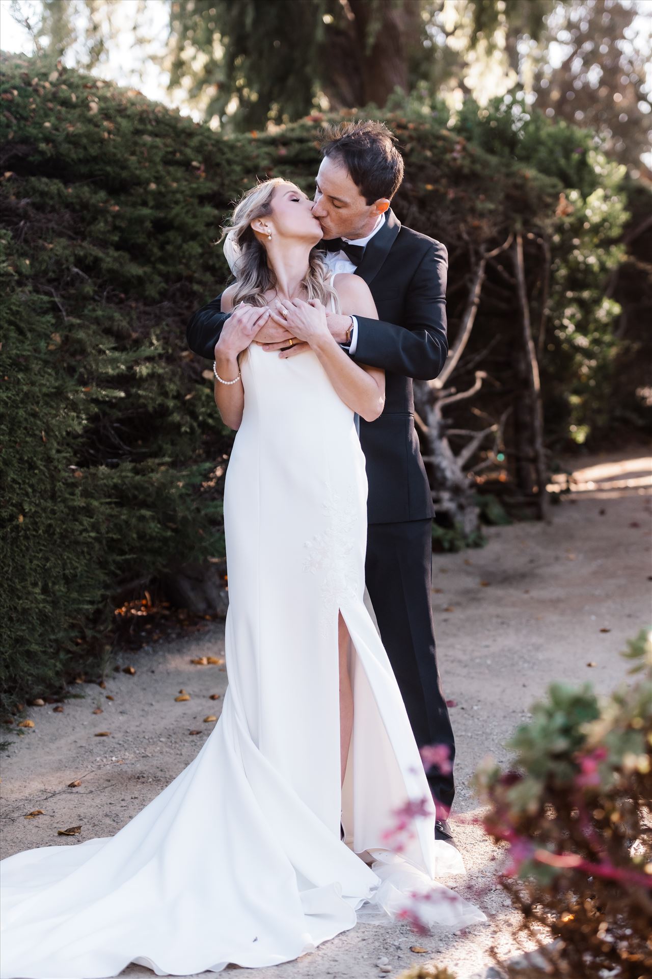 Final BG--5.jpg  by Sarah Williams