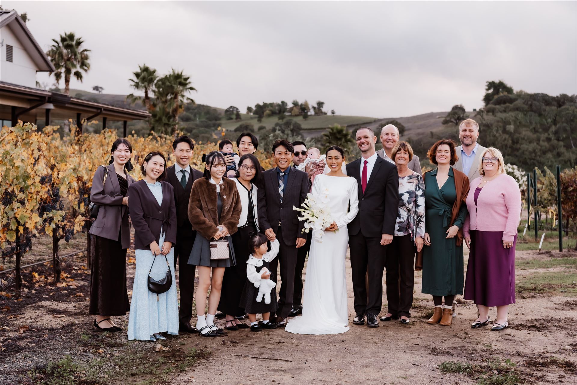 Final-9276.jpg  by Sarah Williams