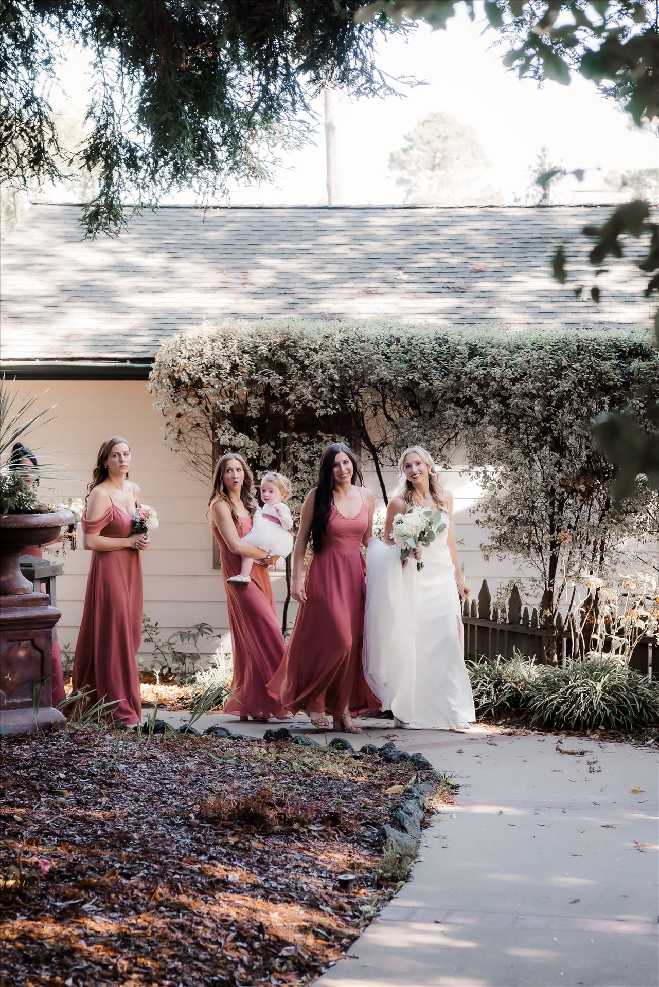 Final-8090.jpg  by Sarah Williams