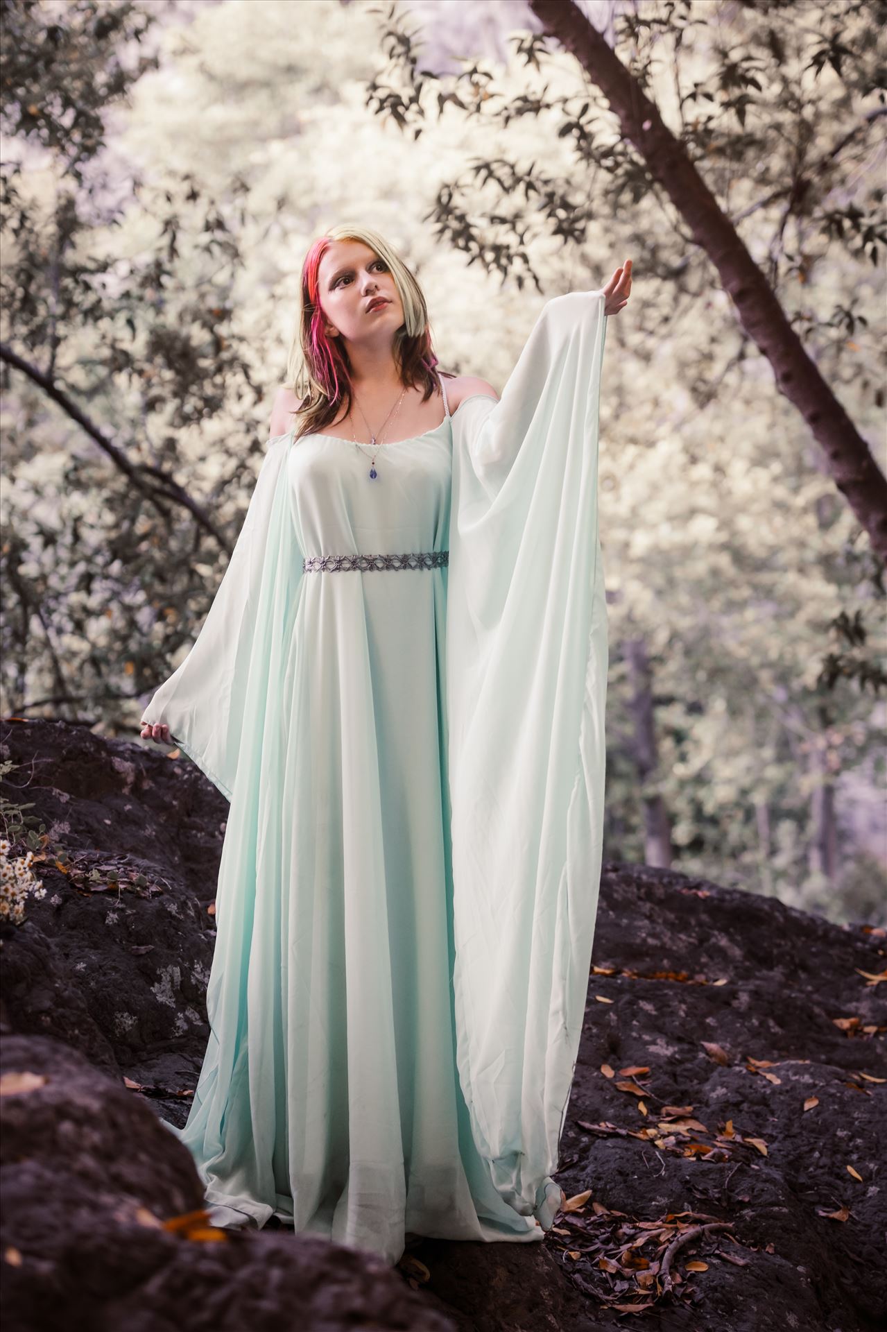 Final-.jpg  by Sarah Williams