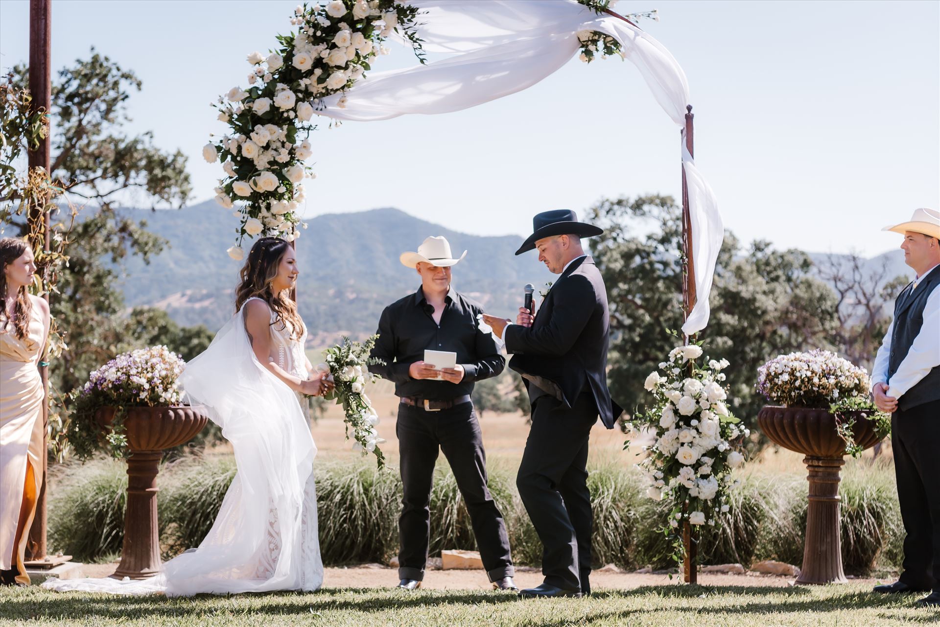 Final-1166.jpg  by Sarah Williams