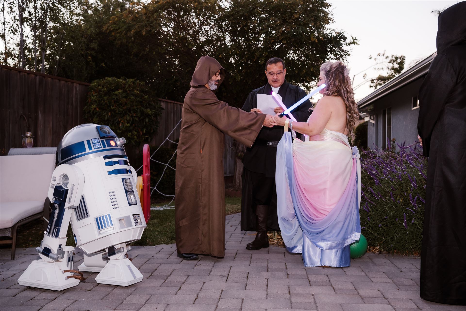 Final-7341.jpg  by Sarah Williams