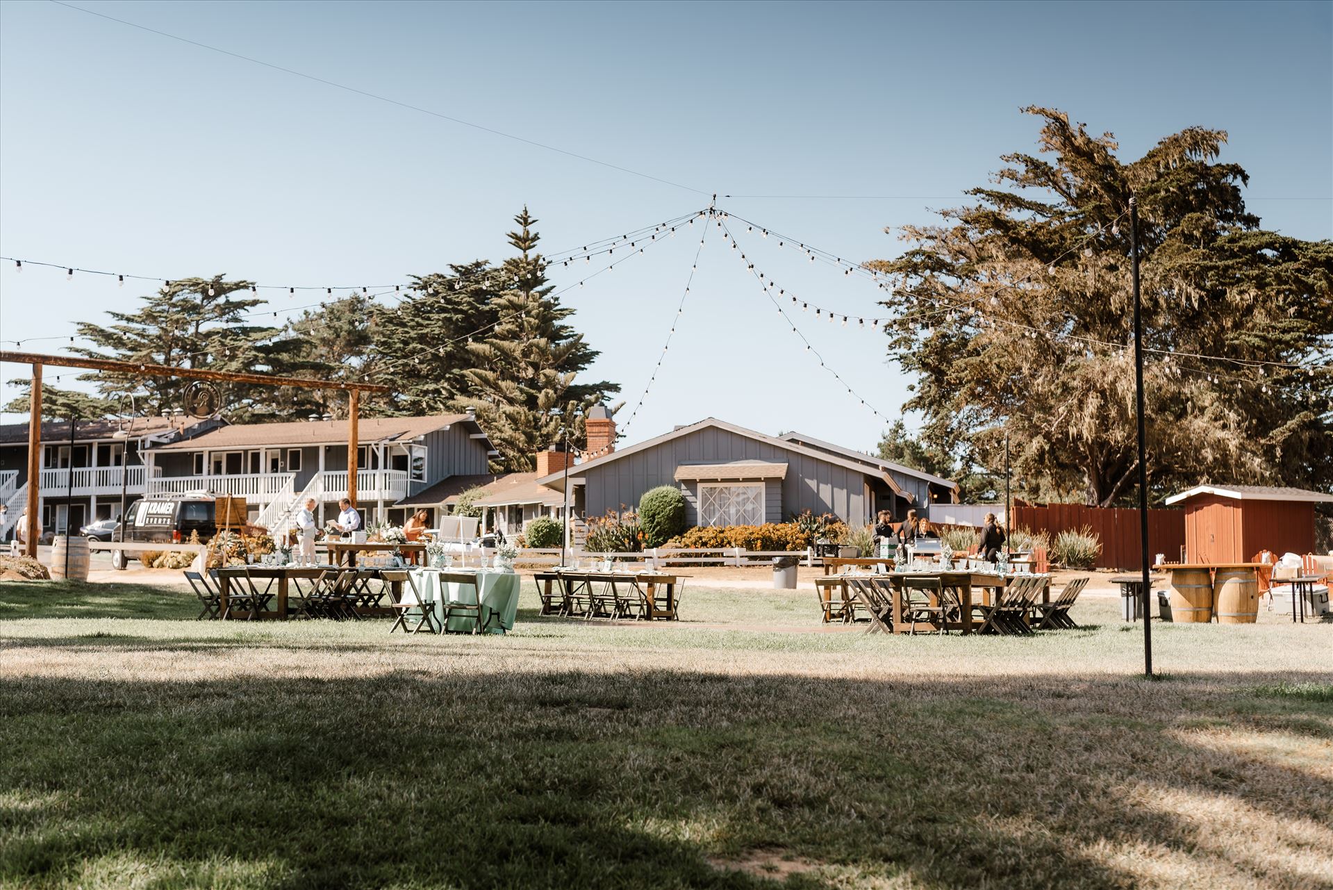 Final-6174.jpg  by Sarah Williams