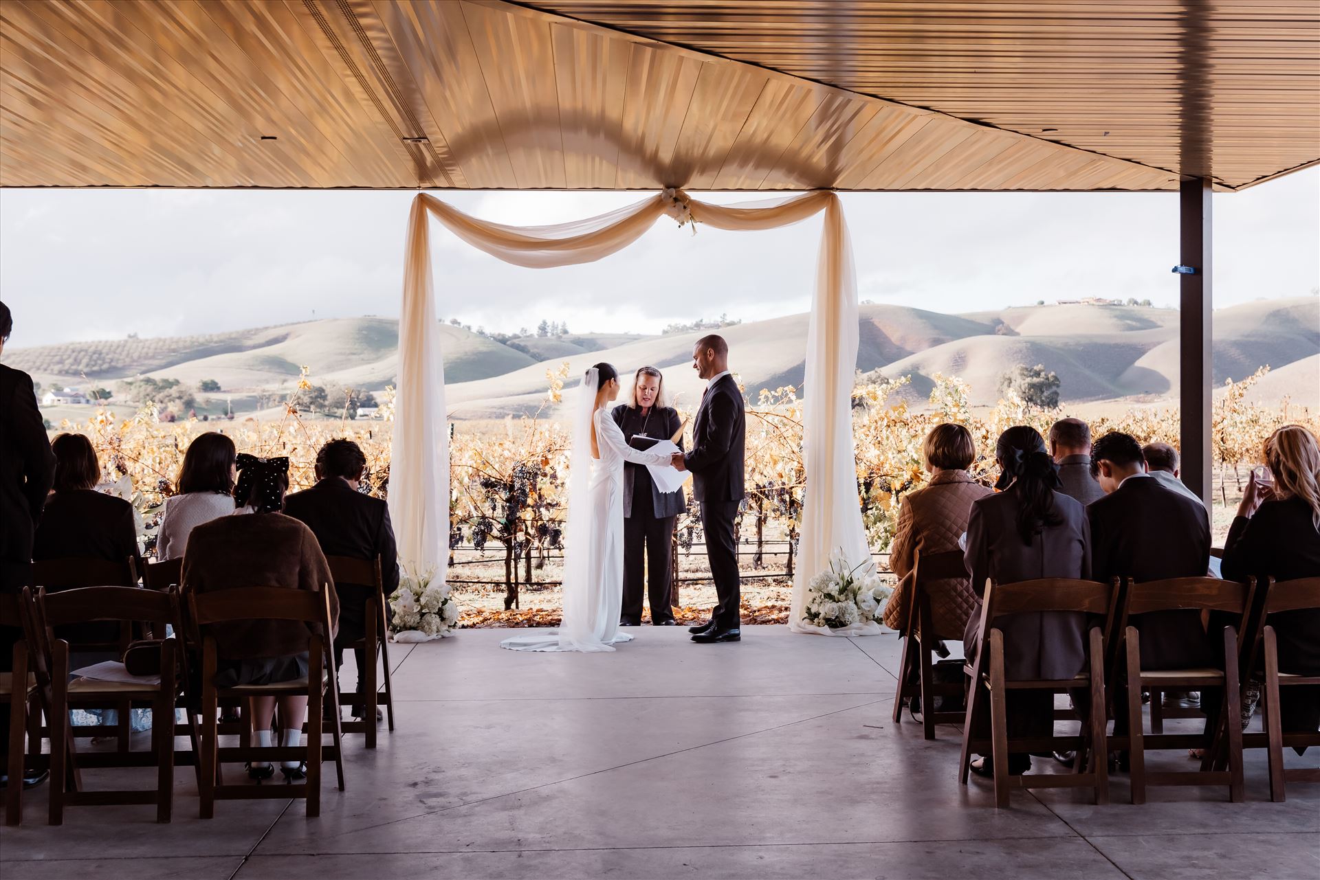 Final-9129.jpg  by Sarah Williams