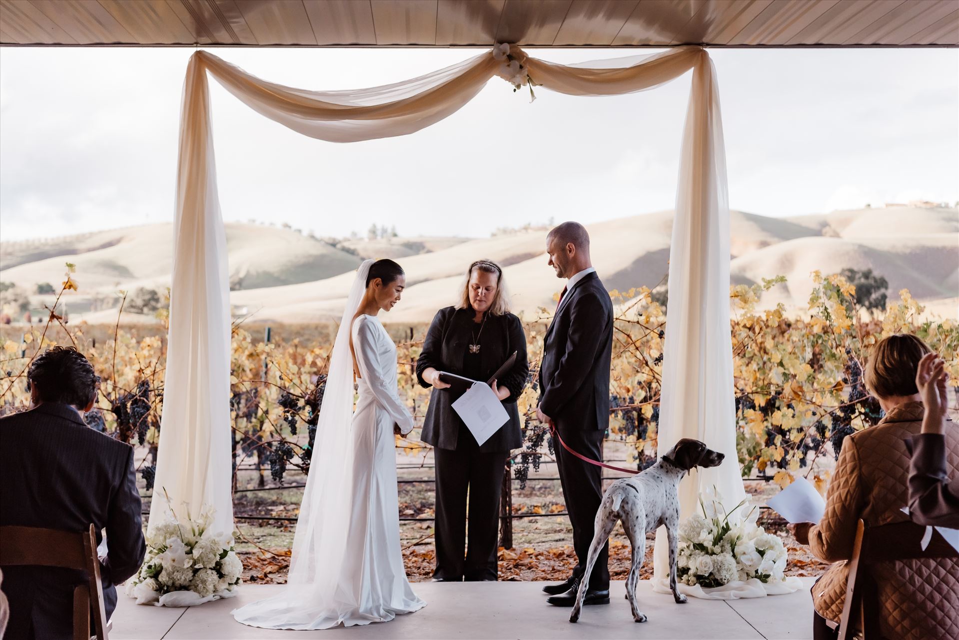 Final-9102.jpg  by Sarah Williams