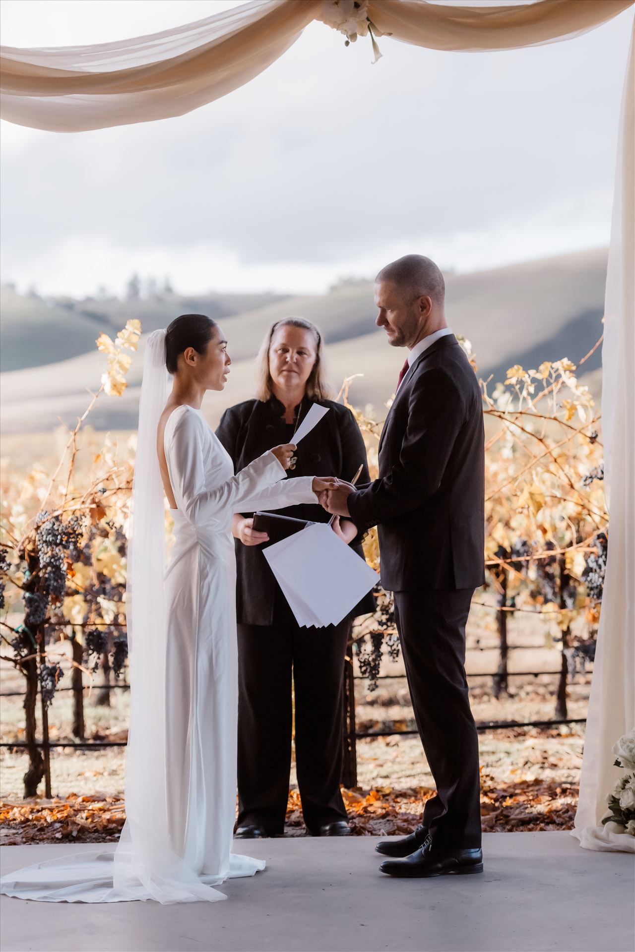 Final-2512.jpg  by Sarah Williams