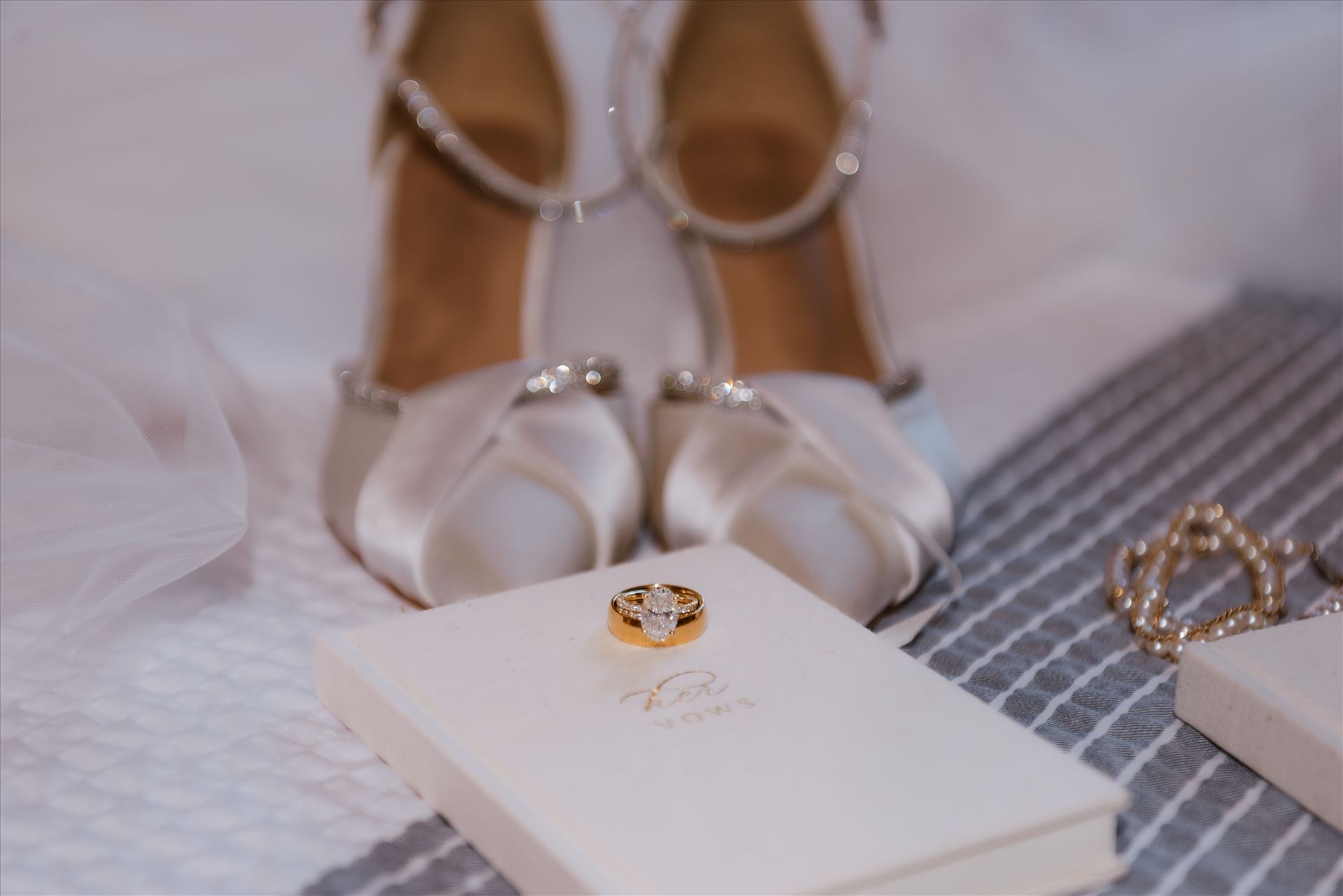 Final-7981.jpg  by Sarah Williams