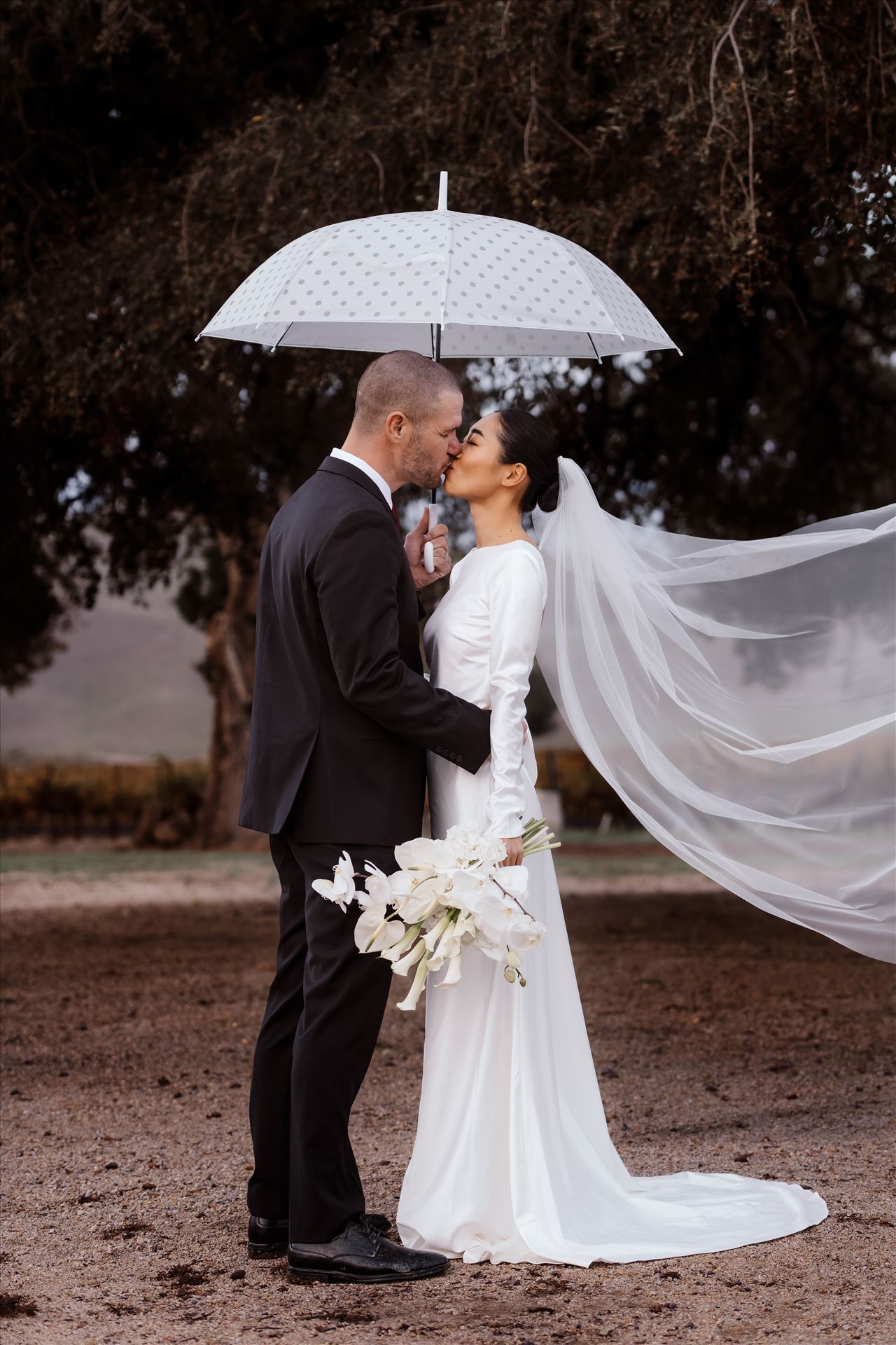 BG Final-2.jpg  by Sarah Williams