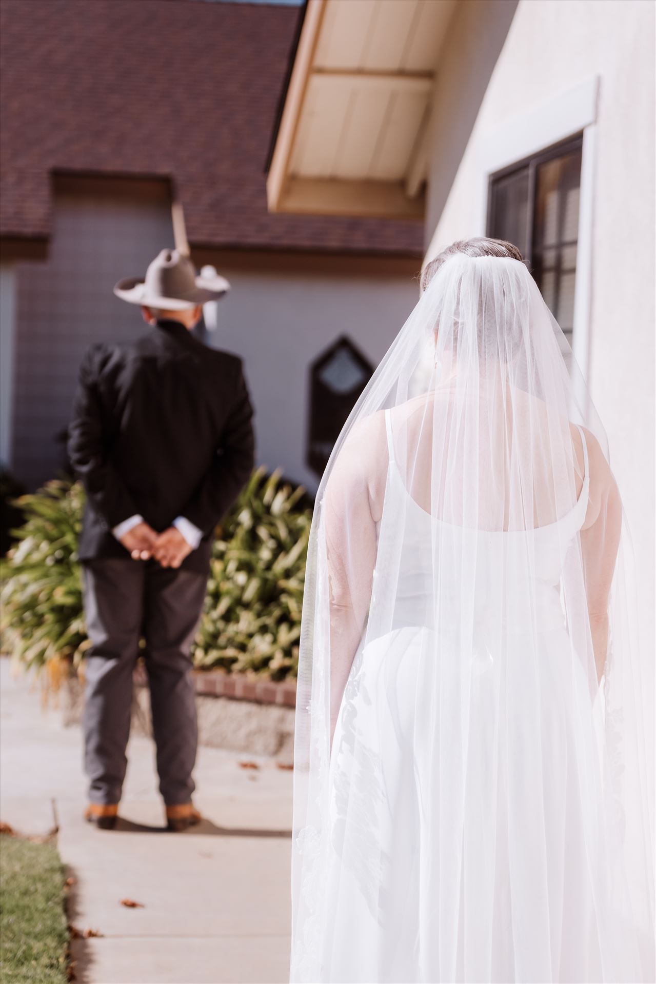 Final-1391.jpg  by Sarah Williams