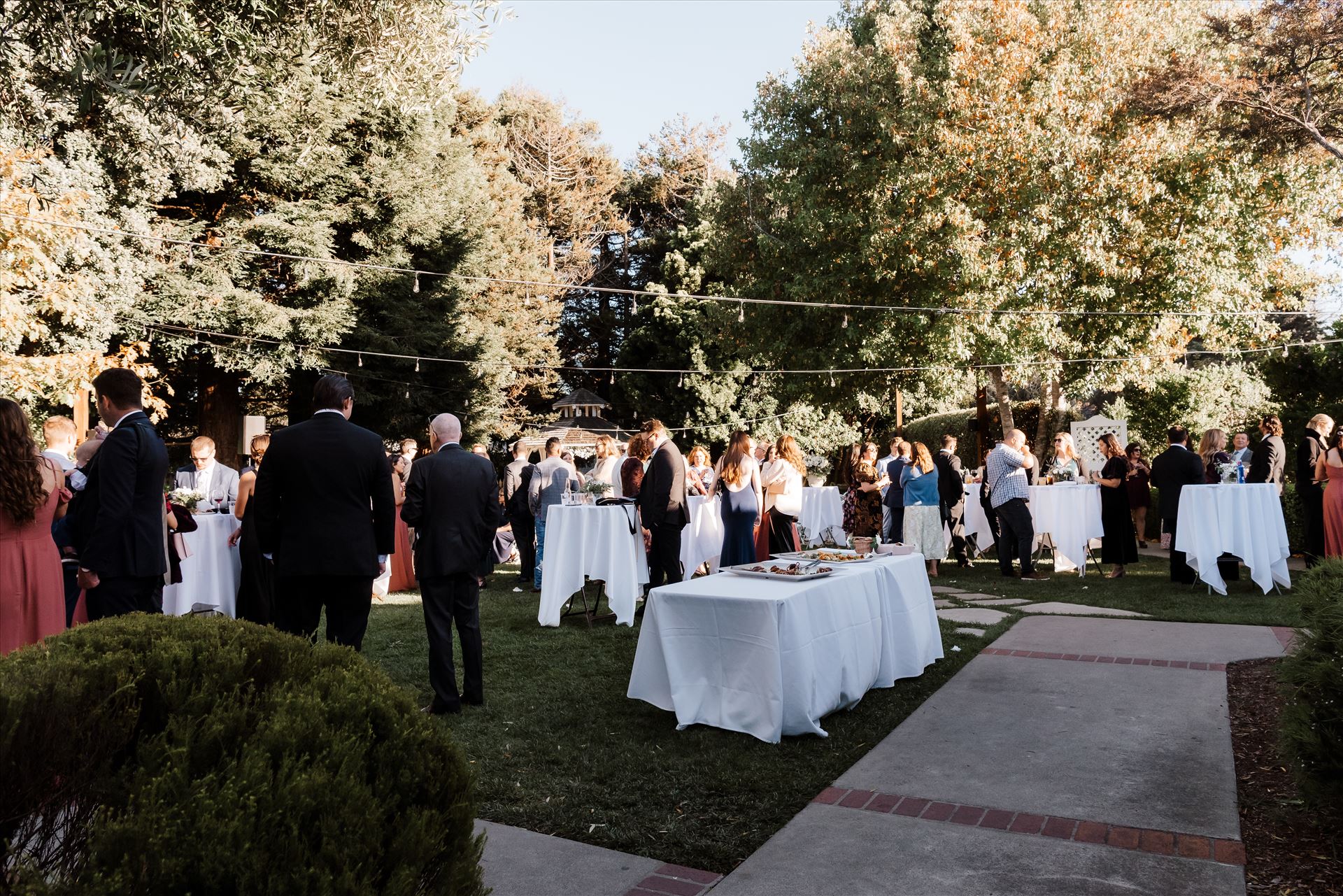 Final-8508.jpg  by Sarah Williams