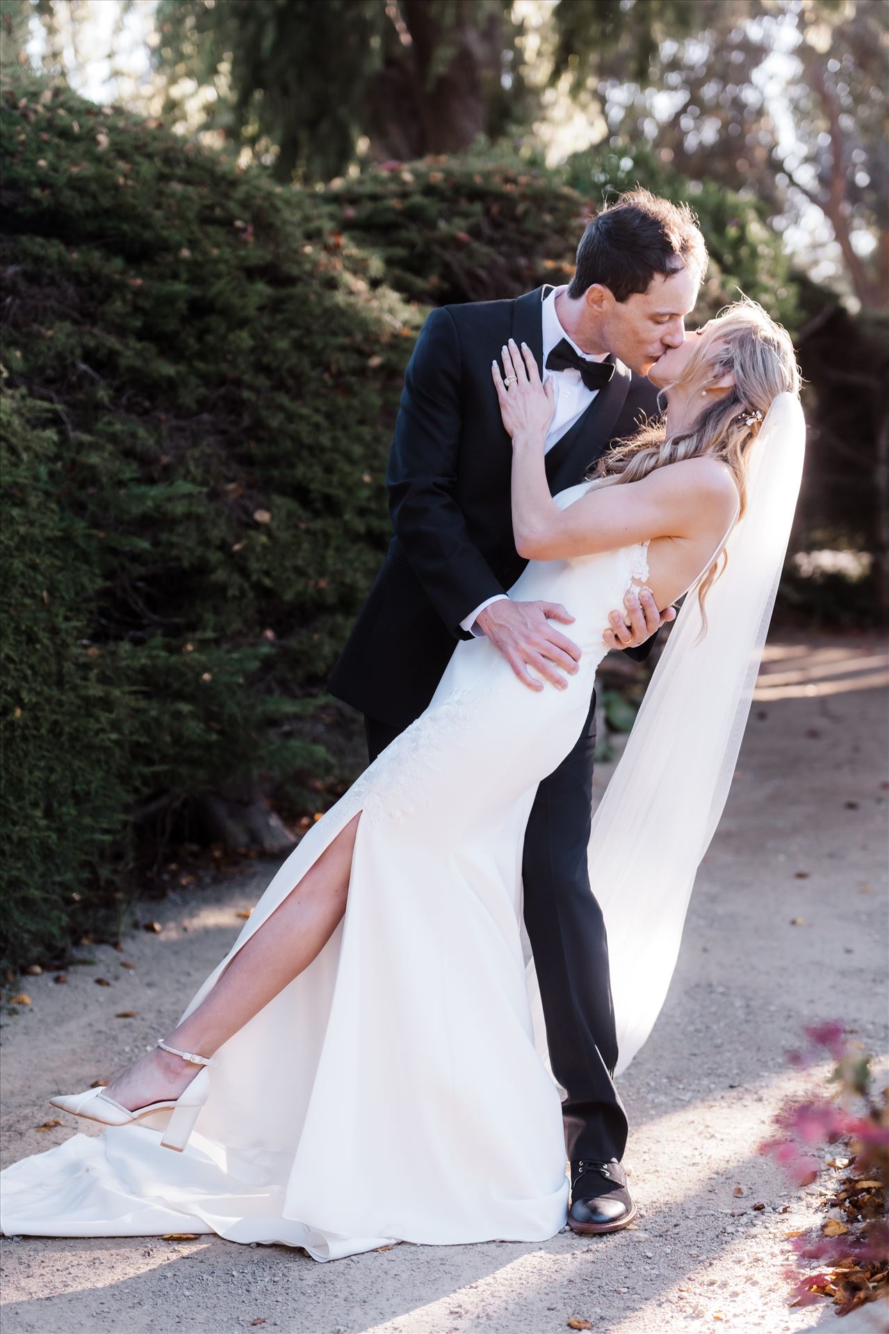 Final BG--2.jpg  by Sarah Williams