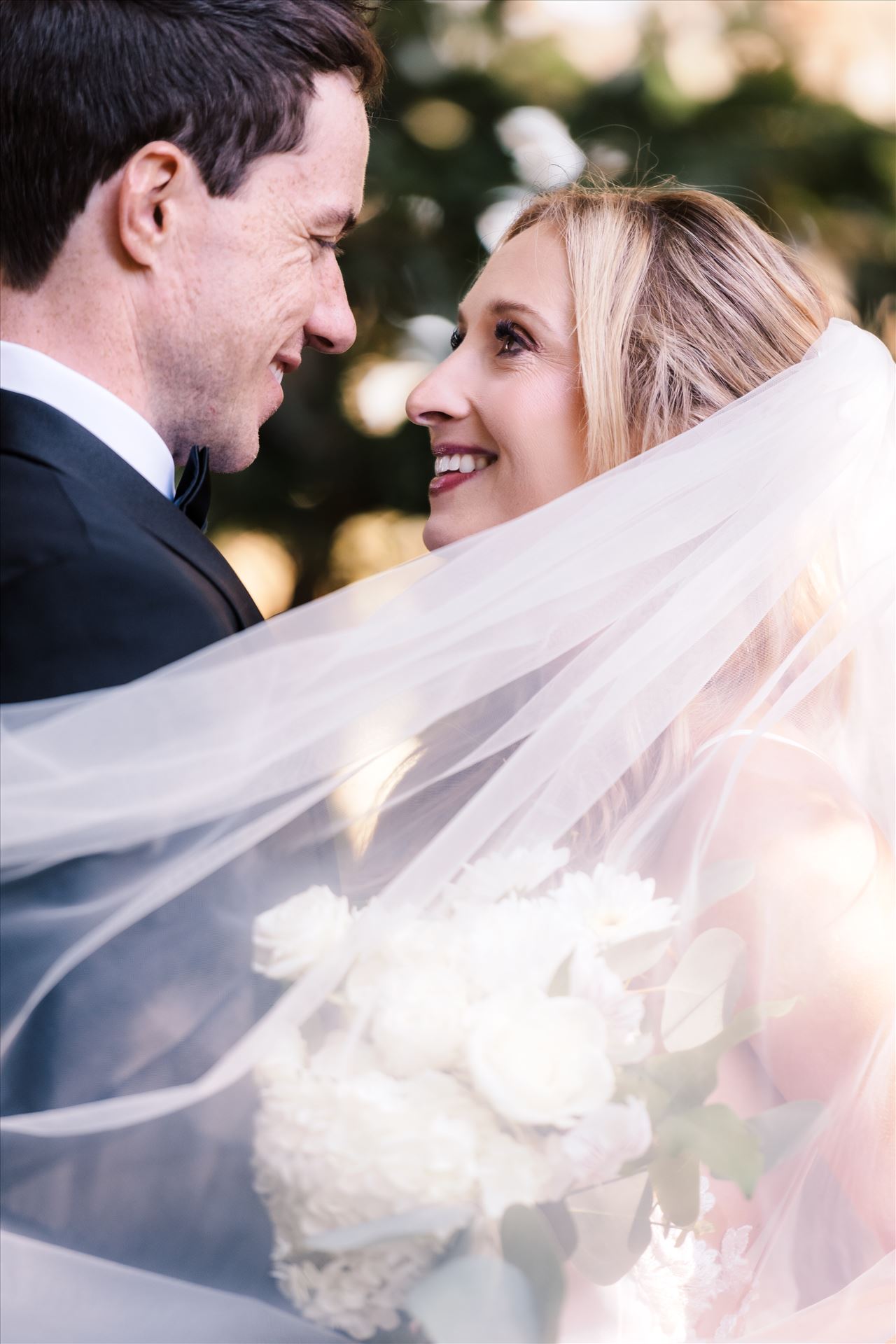 Final BG--30.jpg  by Sarah Williams