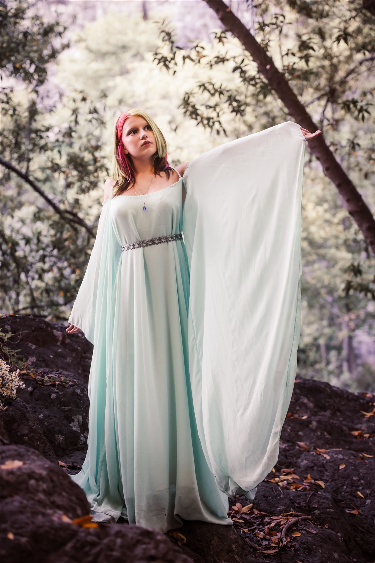 Final--2.jpg  by Sarah Williams