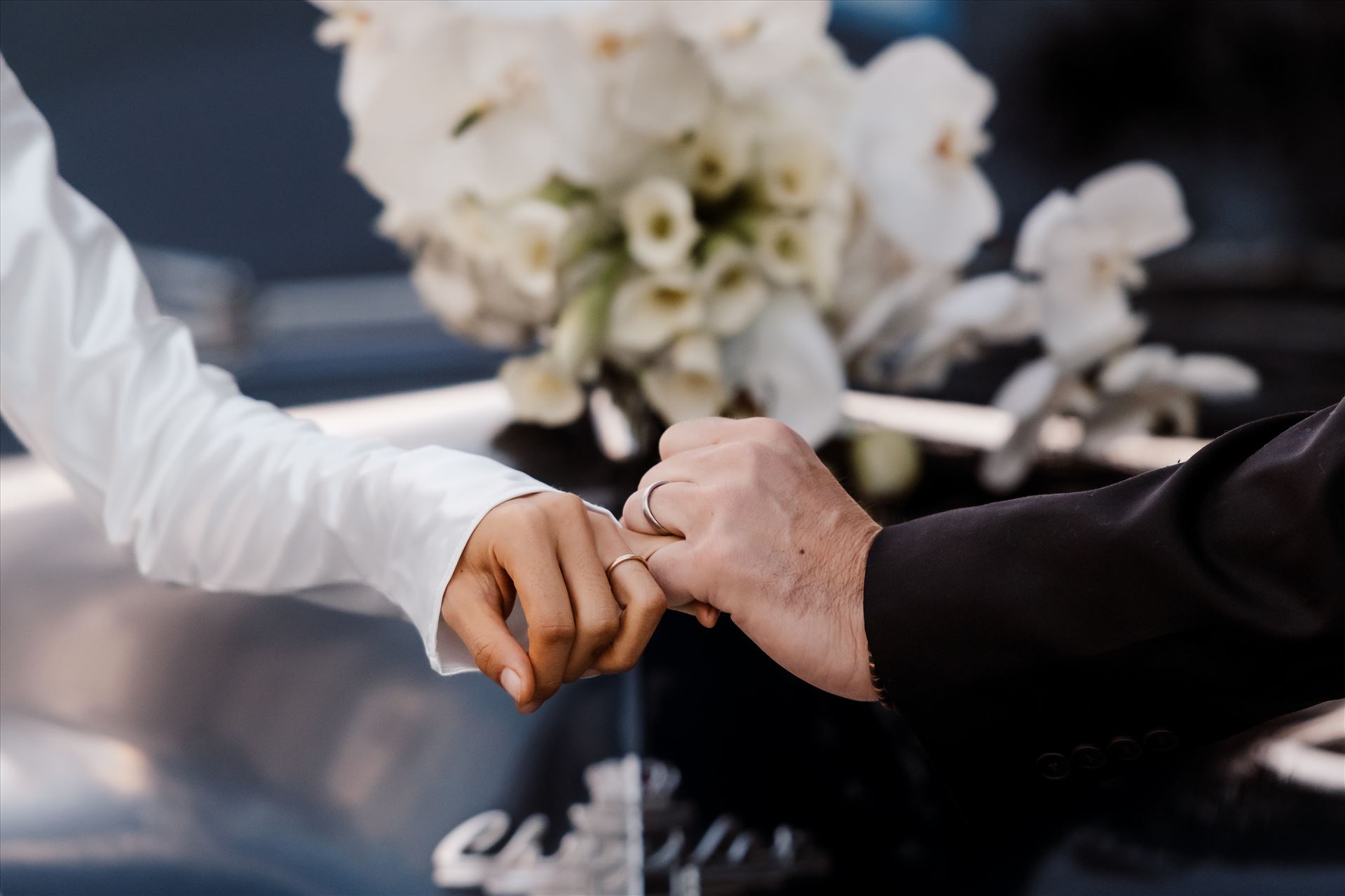 BG Final-2552.jpg  by Sarah Williams