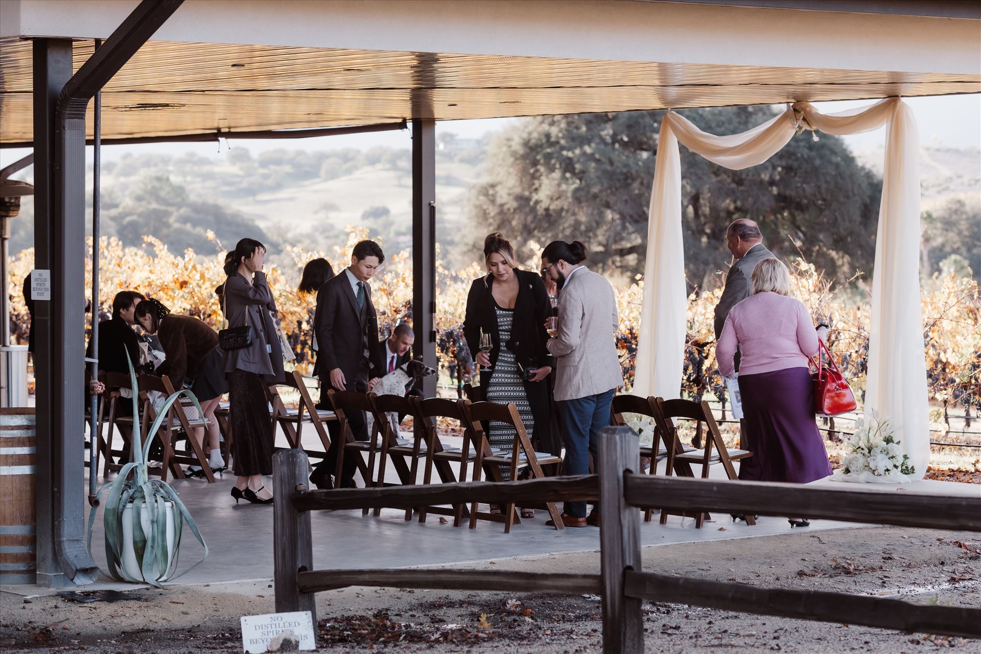 Final-2357.jpg  by Sarah Williams