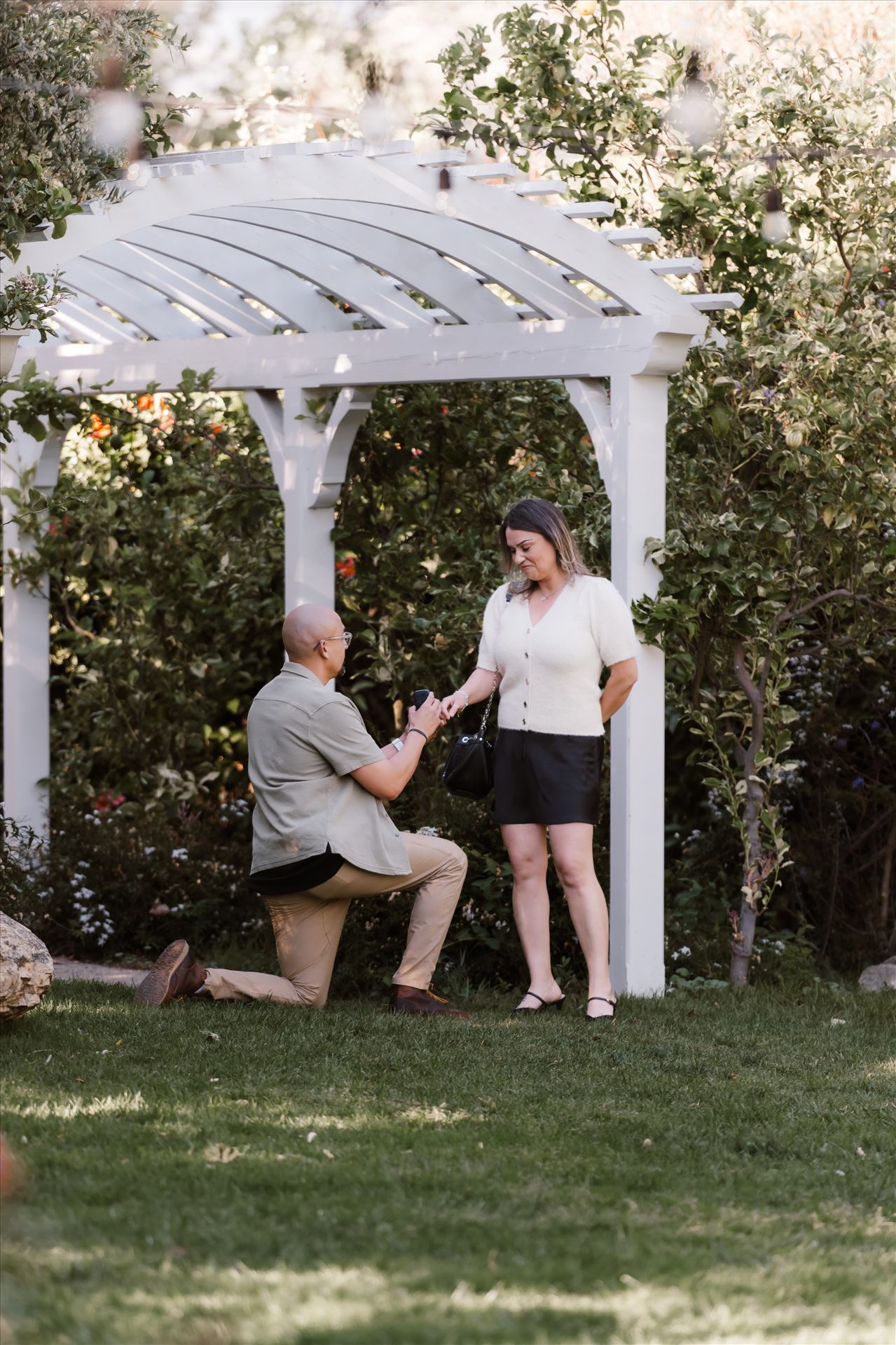 Final-5164.jpg  by Sarah Williams