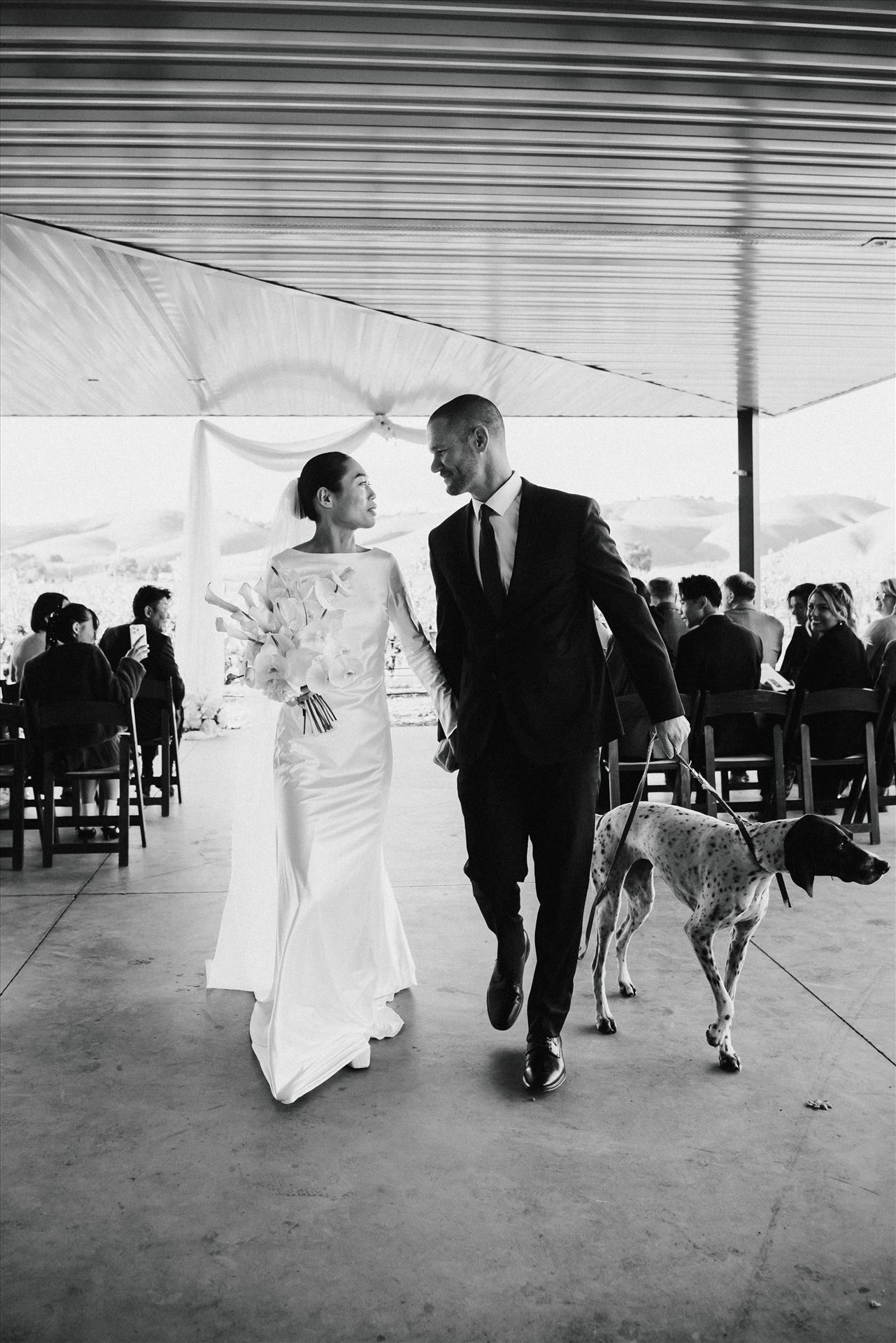 Final-9172-2.jpg  by Sarah Williams