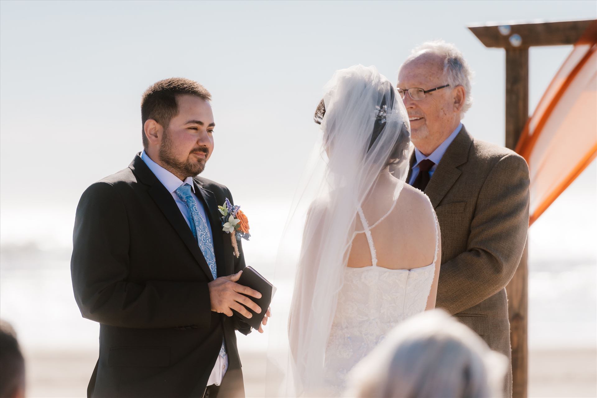 Final-4229.jpg  by Sarah Williams