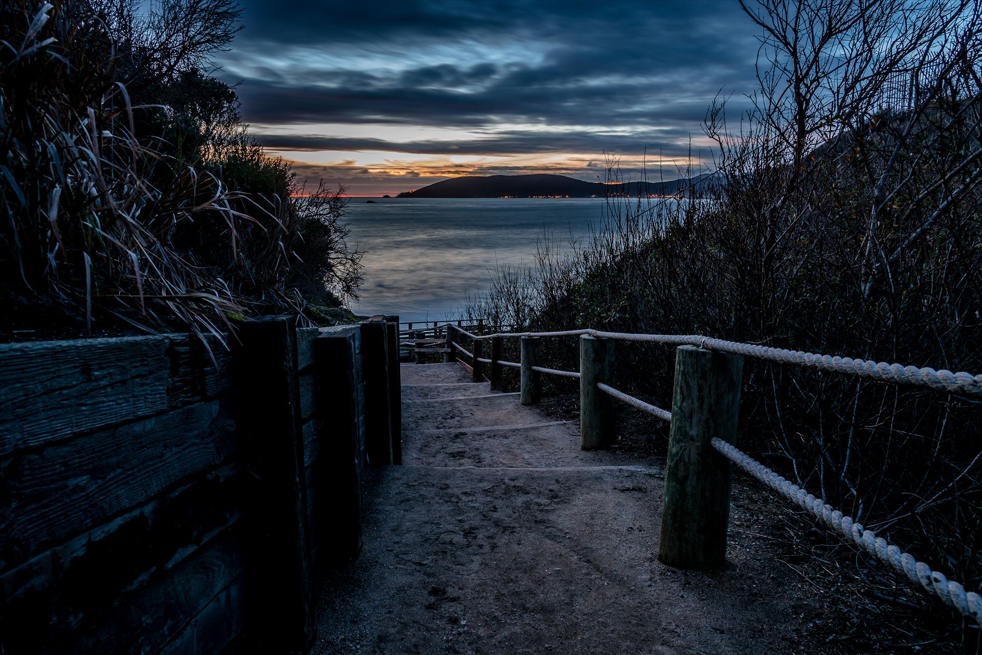 The Cove Path at Night.jpg  by Sarah Williams