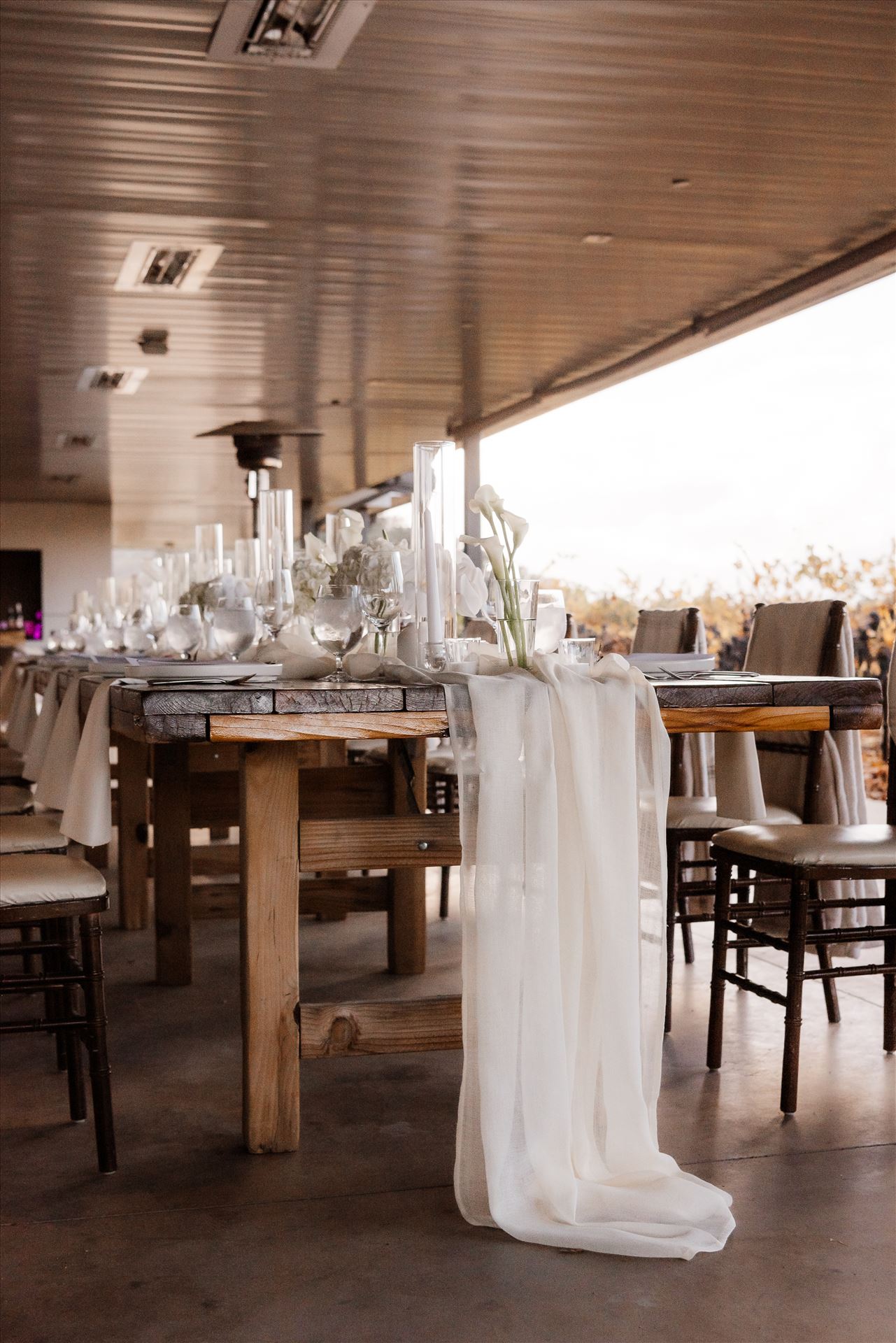 Final-9083.jpg  by Sarah Williams