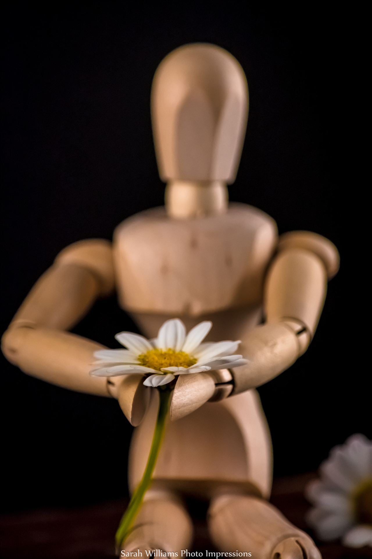 Flower Man.jpg  by Sarah Williams