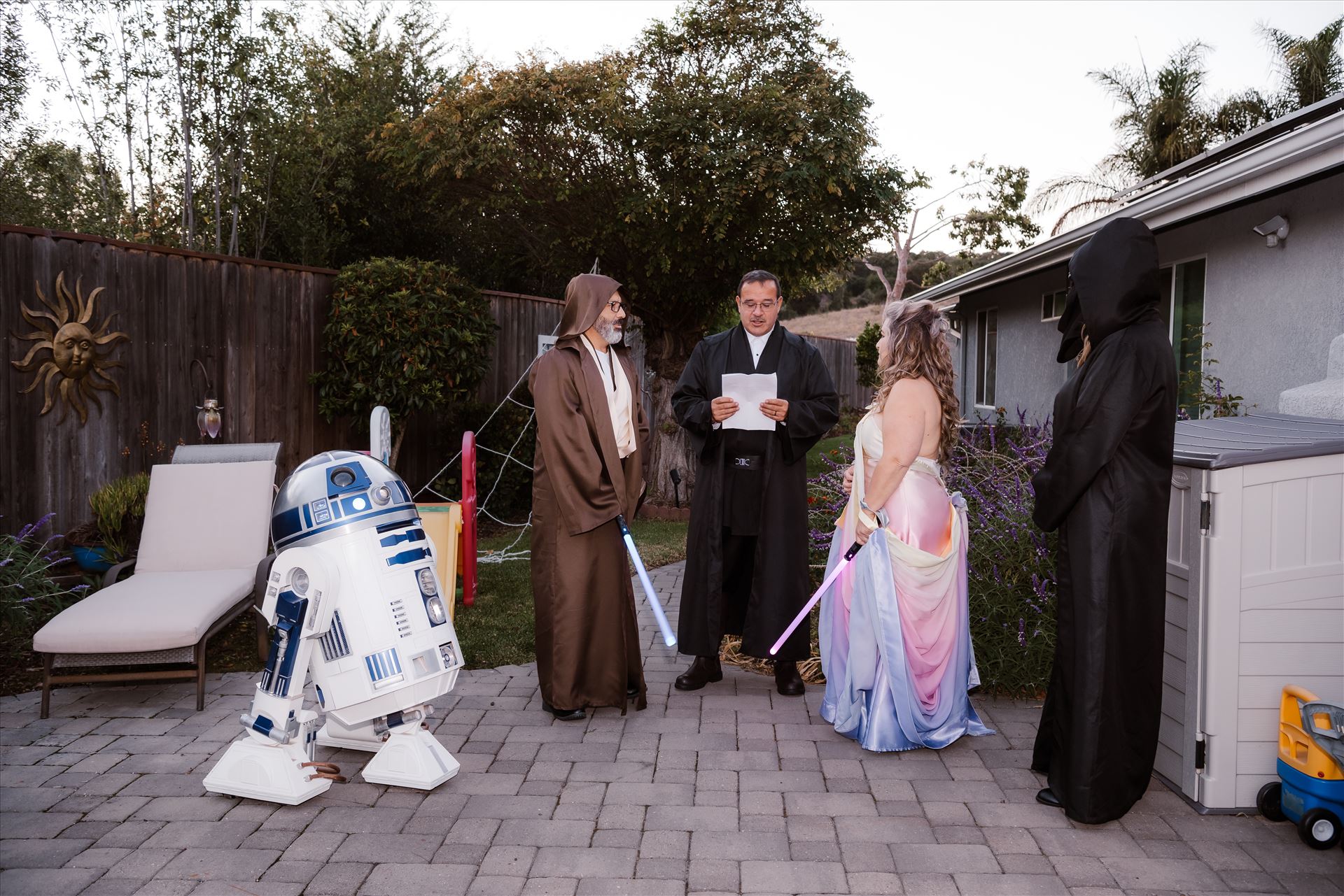 Final-7306.jpg  by Sarah Williams