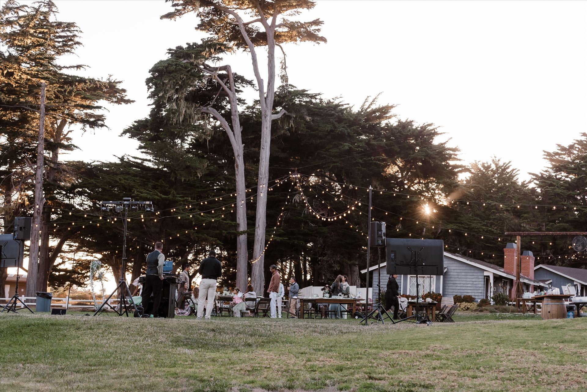 Final-6688.jpg  by Sarah Williams