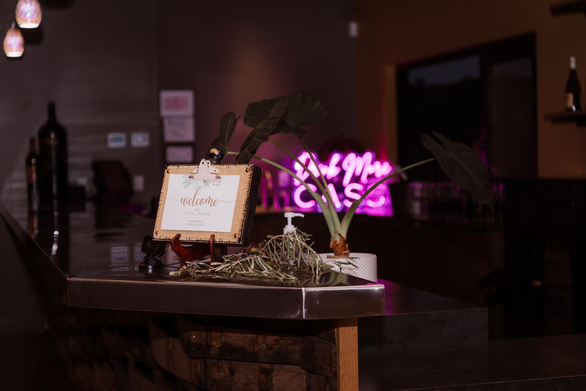 Final-9404.jpg  by Sarah Williams