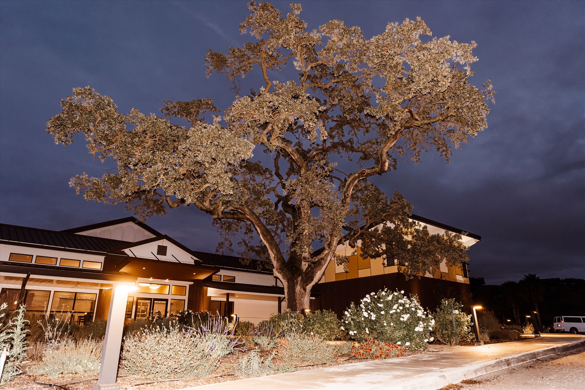 Final-9413.jpg  by Sarah Williams