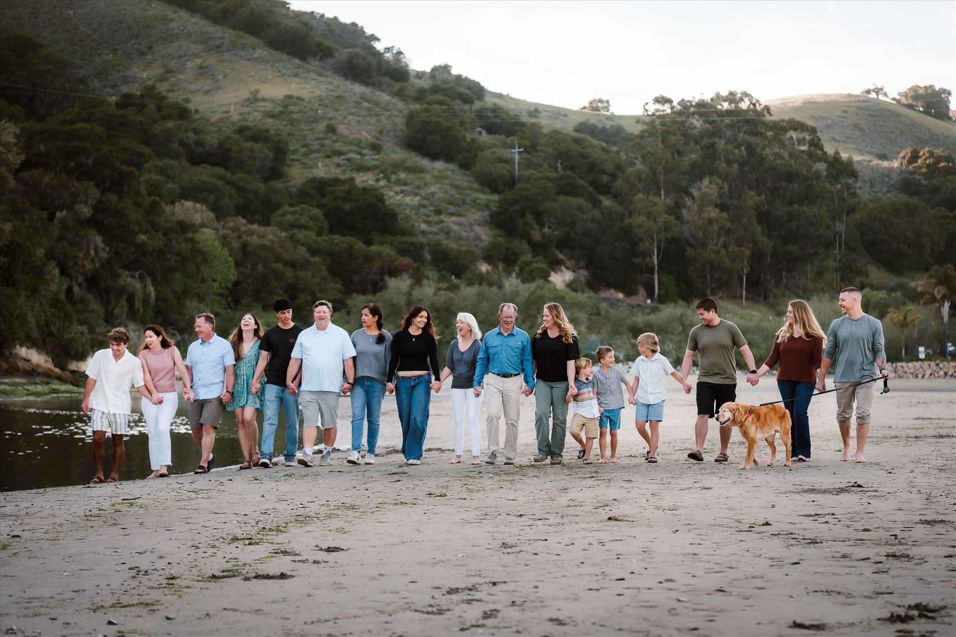 Final--7.jpg  by Sarah Williams