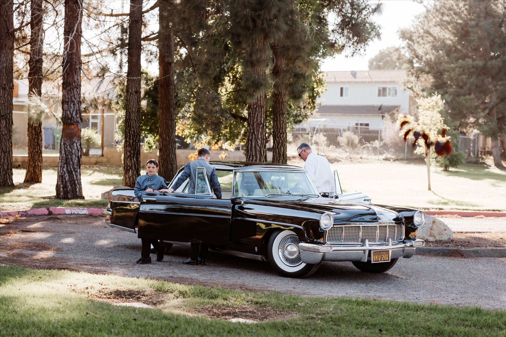 Final-1669.jpg  by Sarah Williams