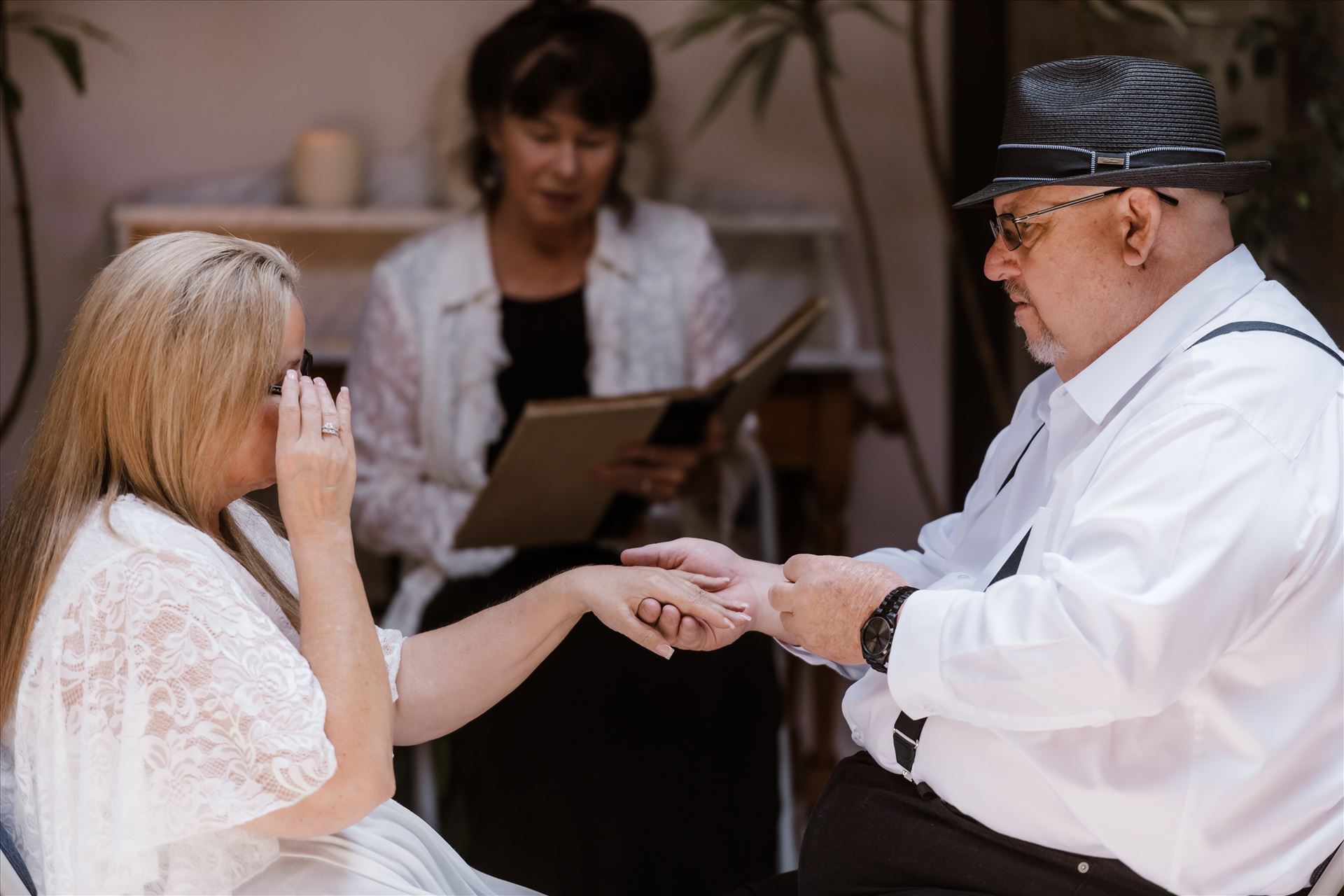 Final-8617.jpg  by Sarah Williams