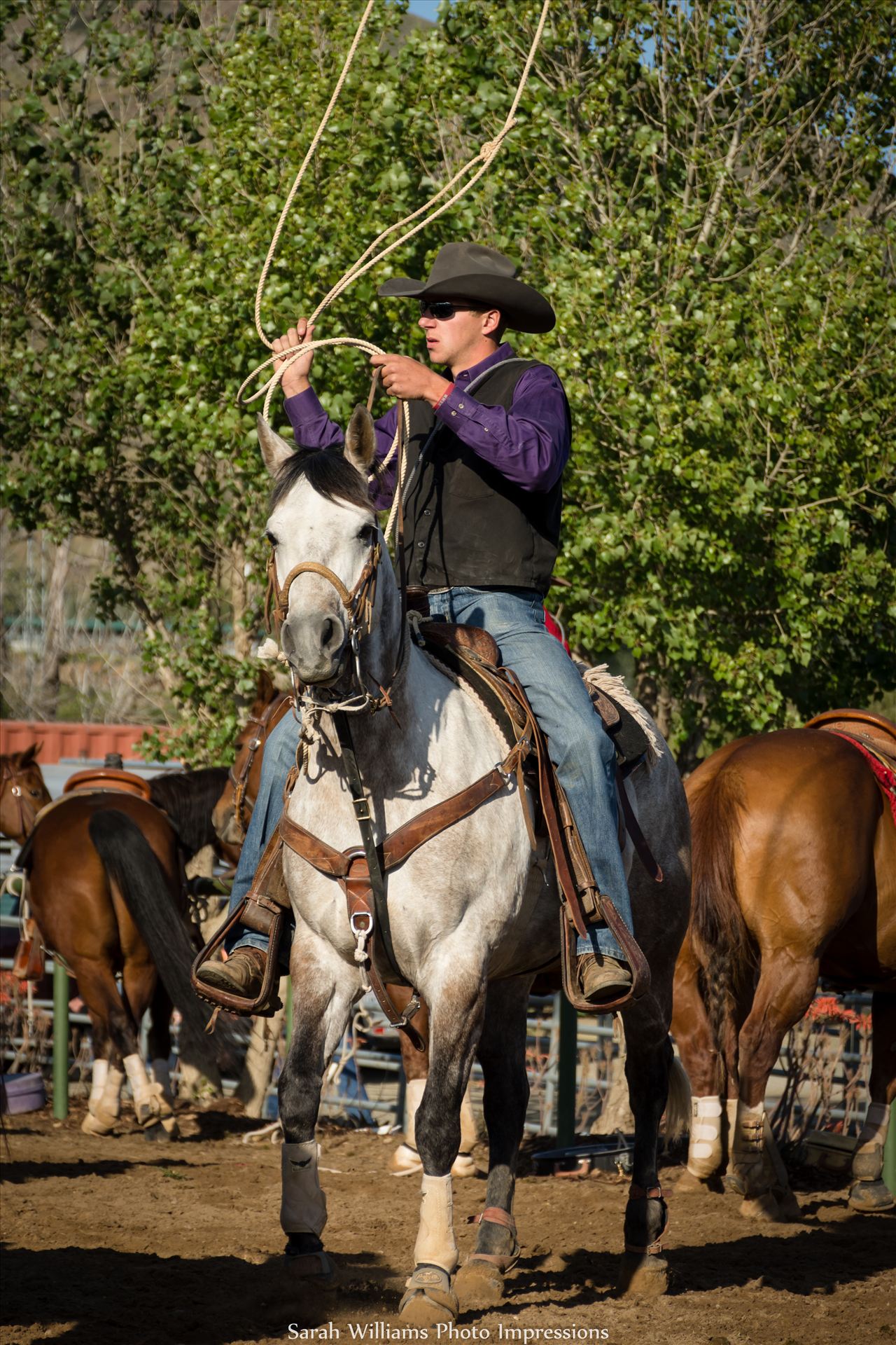 Ready for Roping.jpg  by Sarah Williams