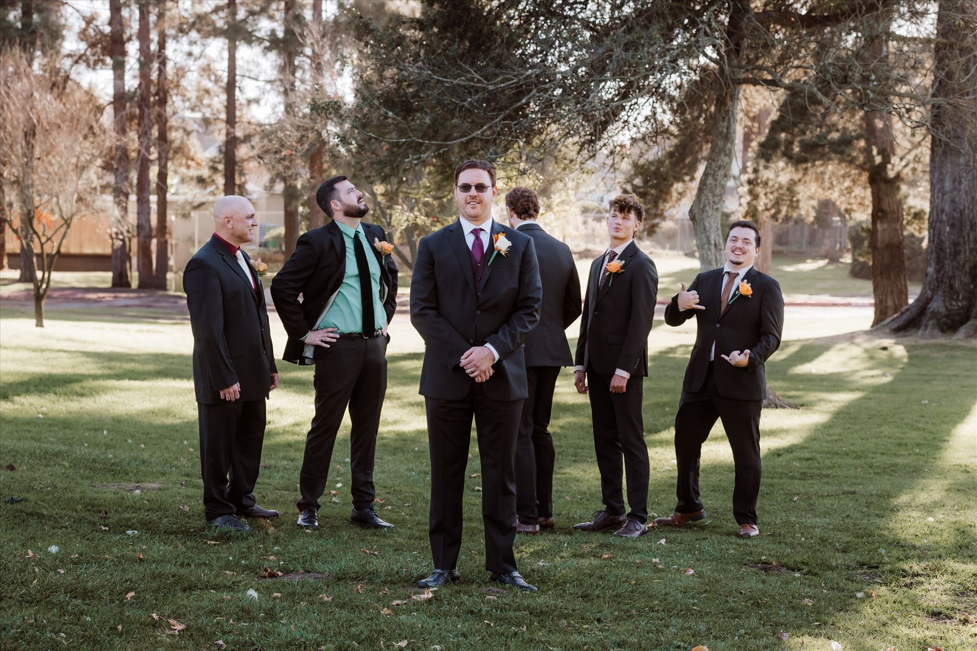 Final-1783.jpg  by Sarah Williams