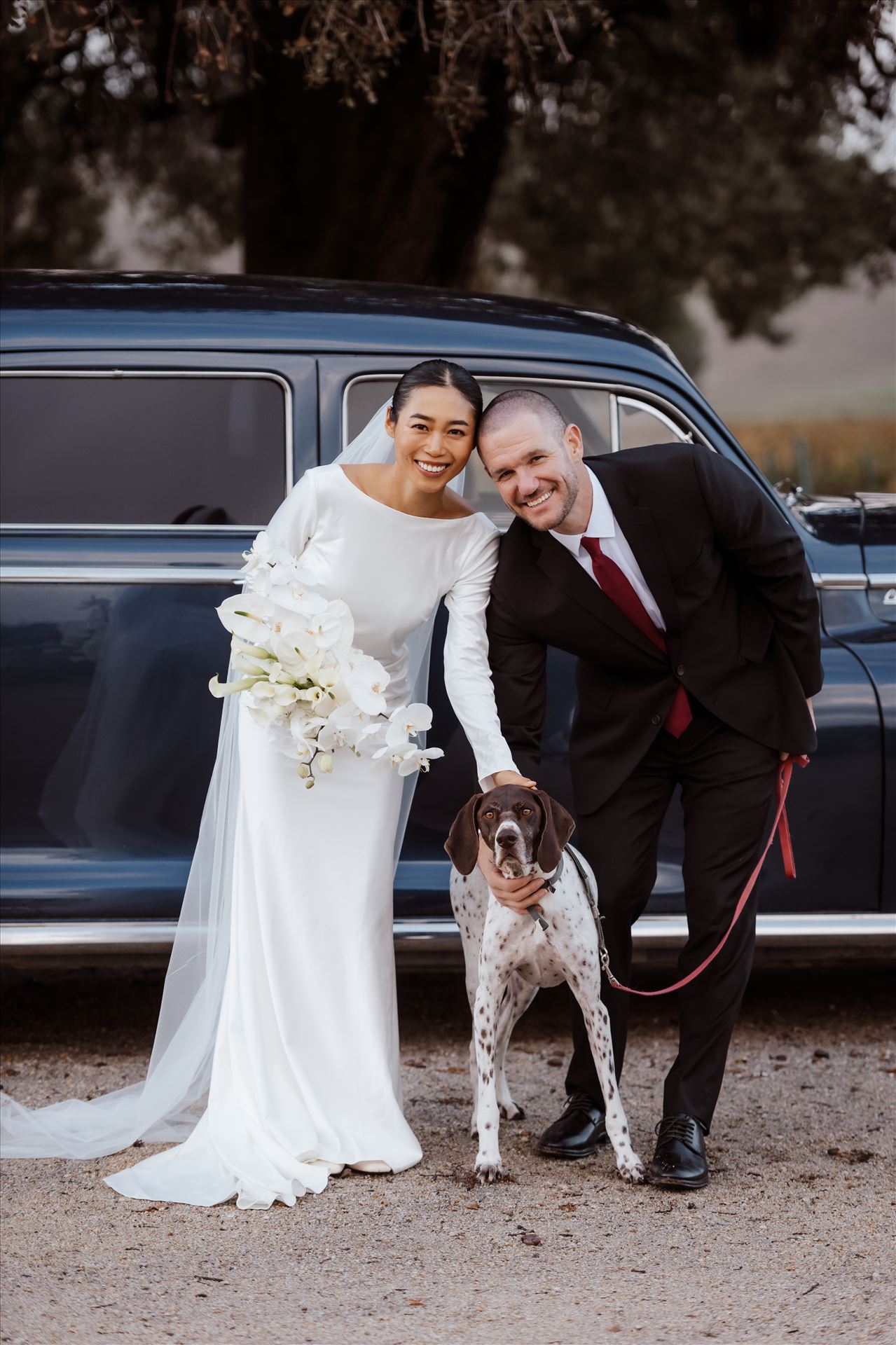 BG Final-2531.jpg  by Sarah Williams