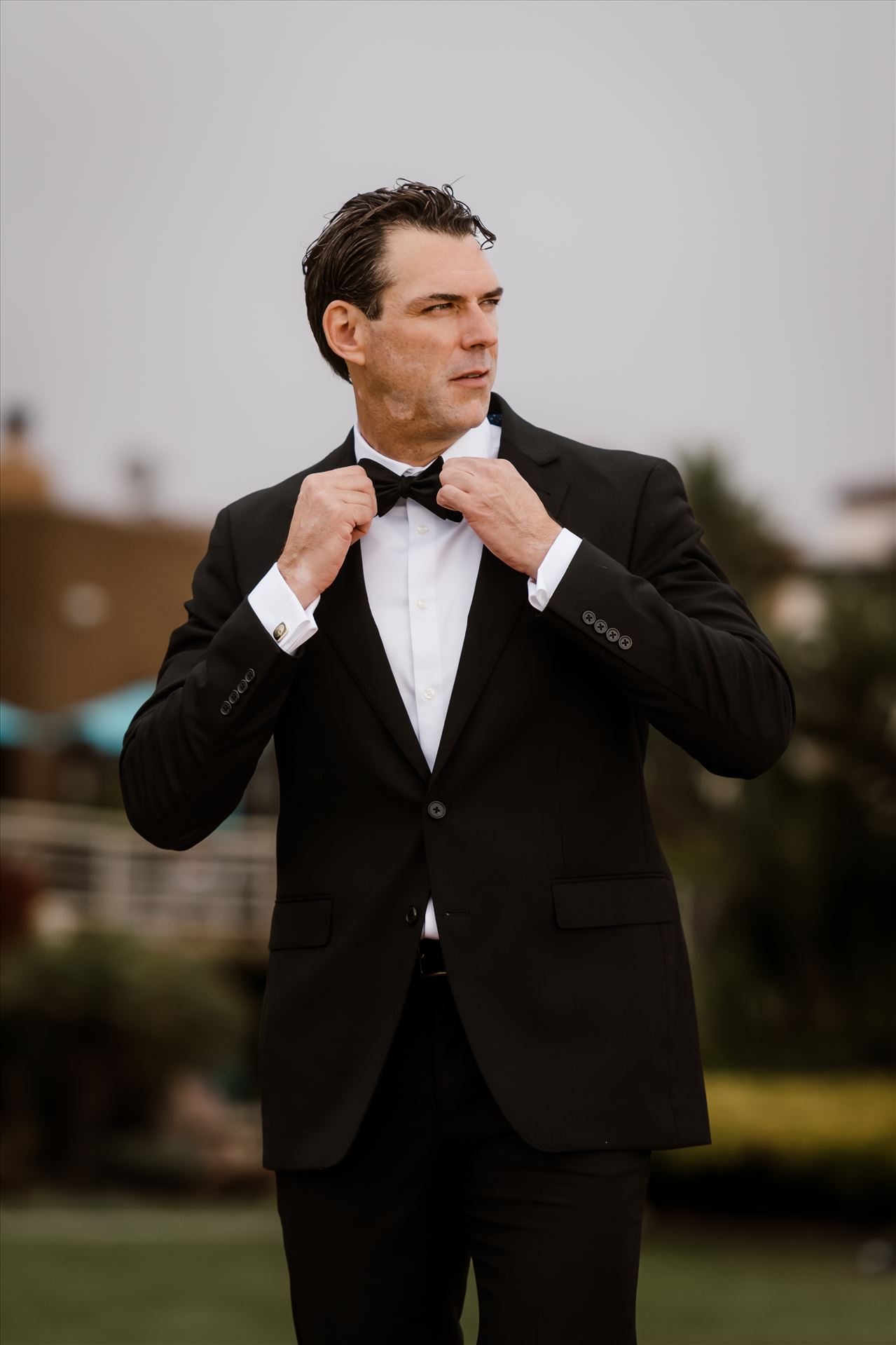 Final-7566.jpg  by Sarah Williams