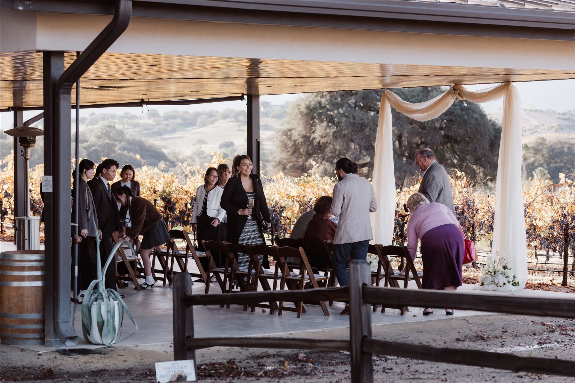 Final-2356.jpg  by Sarah Williams