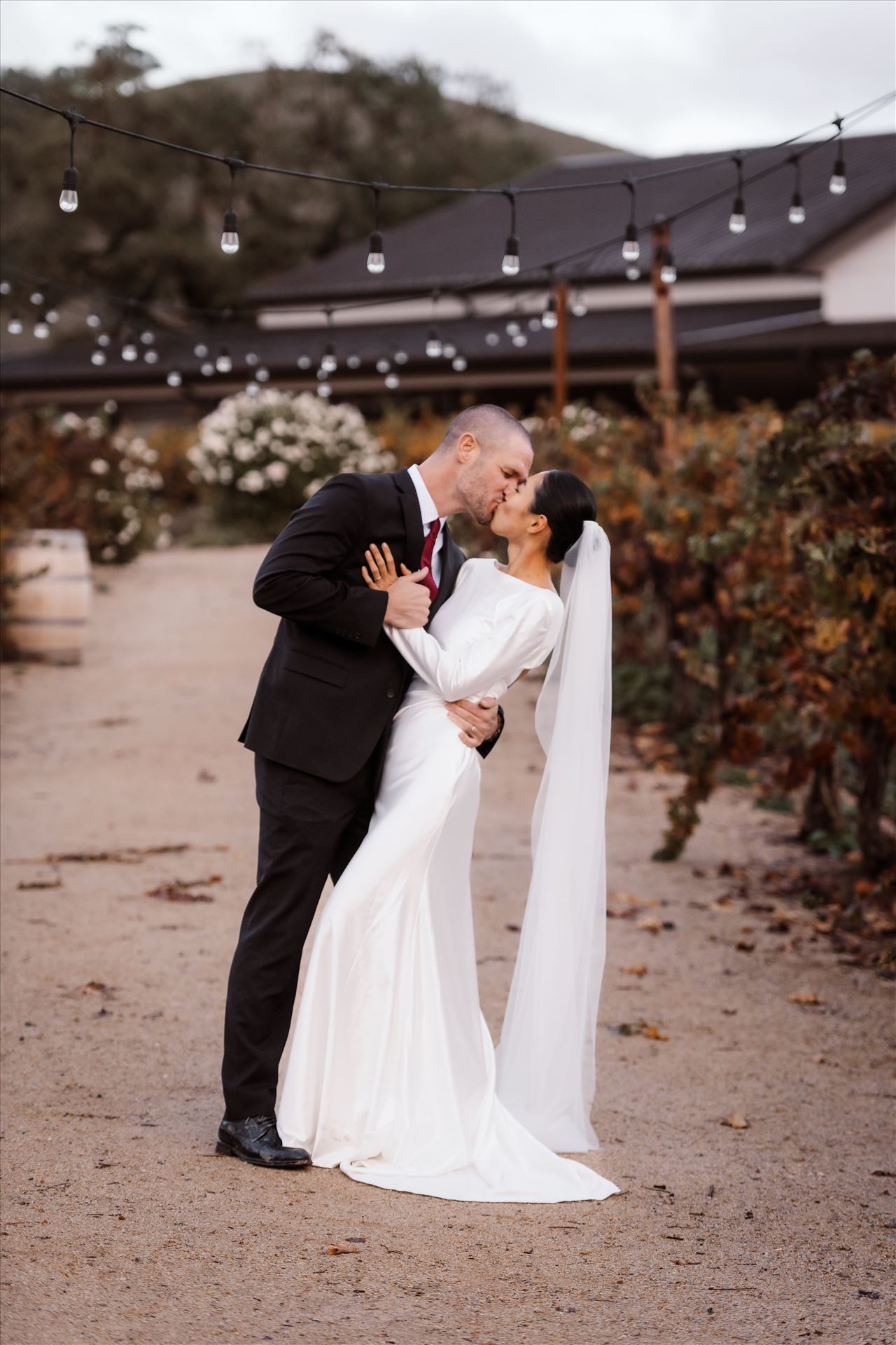 BG Final--13.jpg  by Sarah Williams