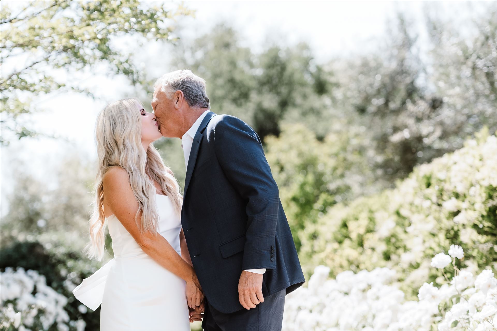 Final--4.jpg  by Sarah Williams