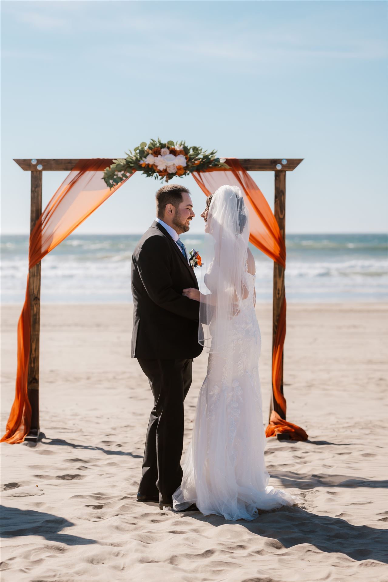 Final-4345.jpg  by Sarah Williams