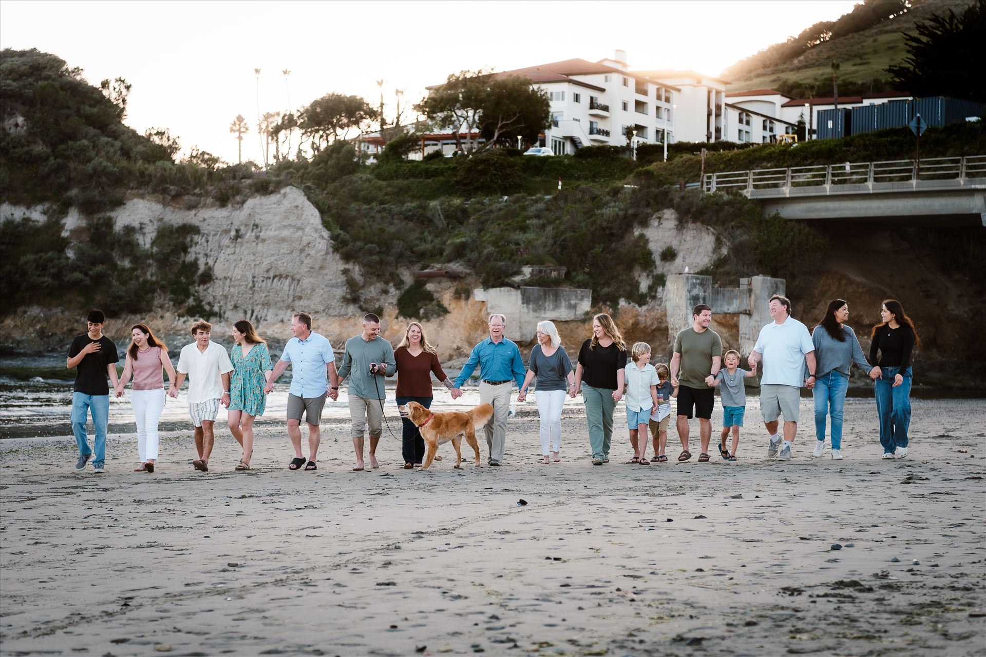 Final--4.jpg  by Sarah Williams