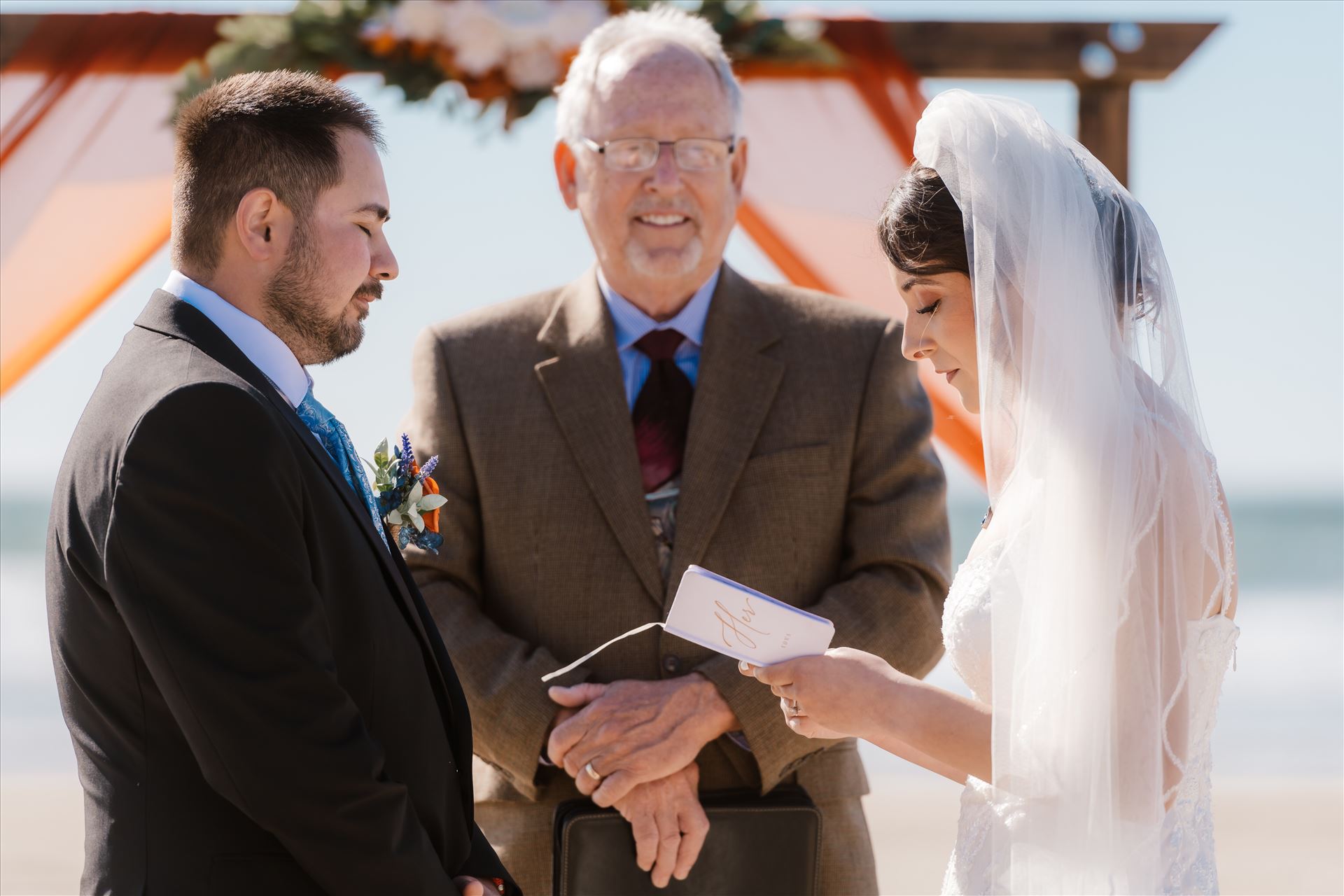 Final-4242.jpg  by Sarah Williams