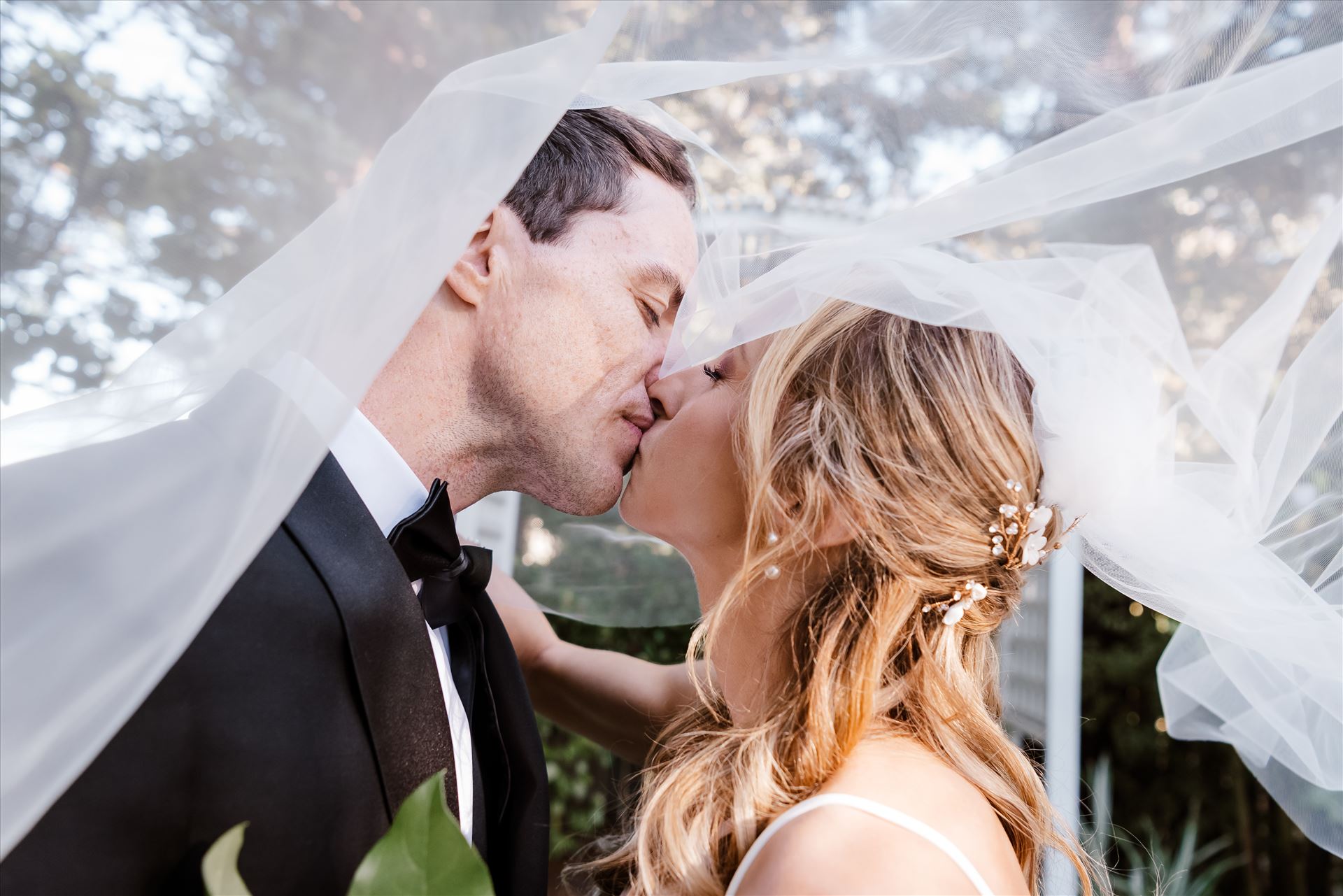 Final BG-8438.jpg  by Sarah Williams