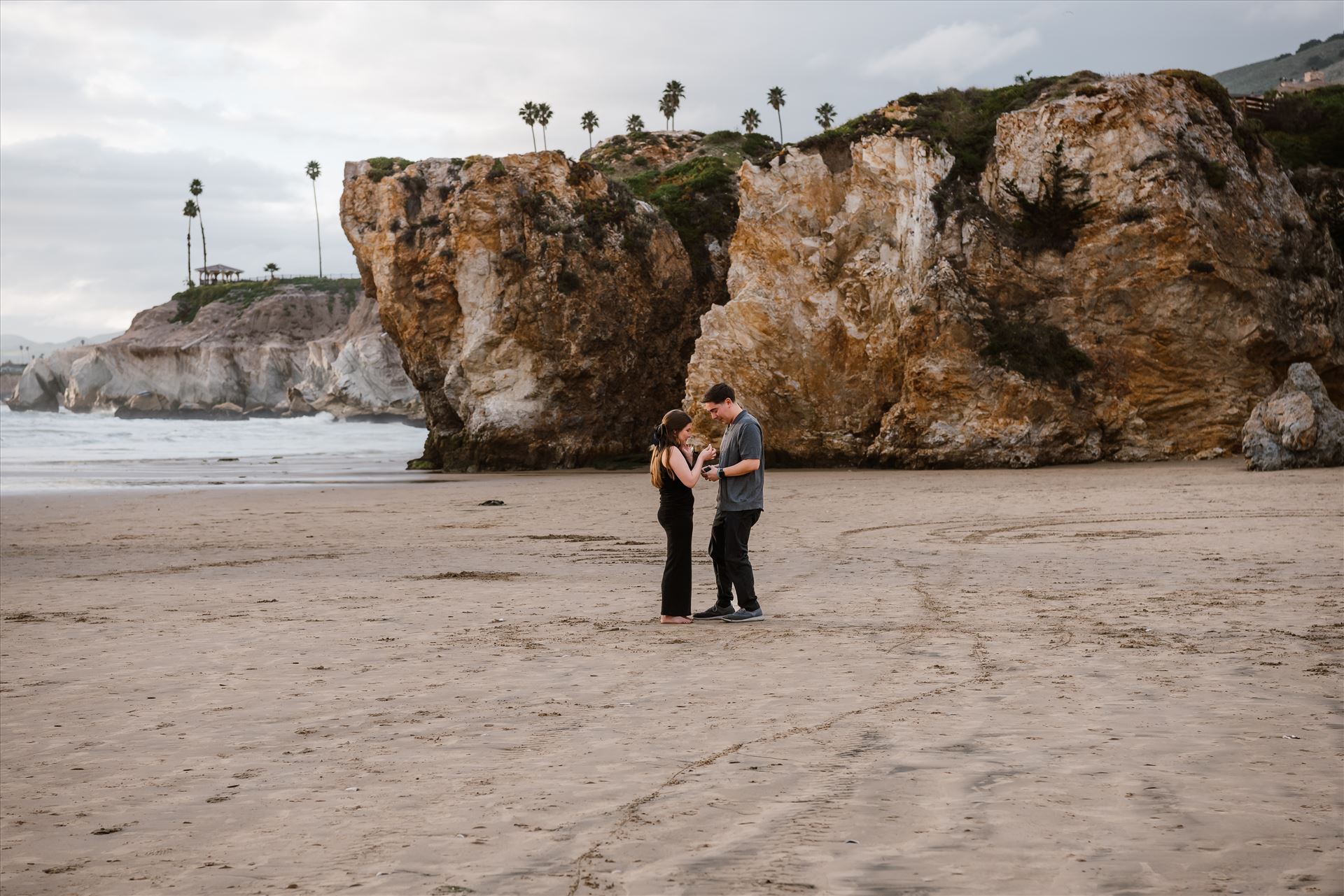 Final-9514.jpg  by Sarah Williams