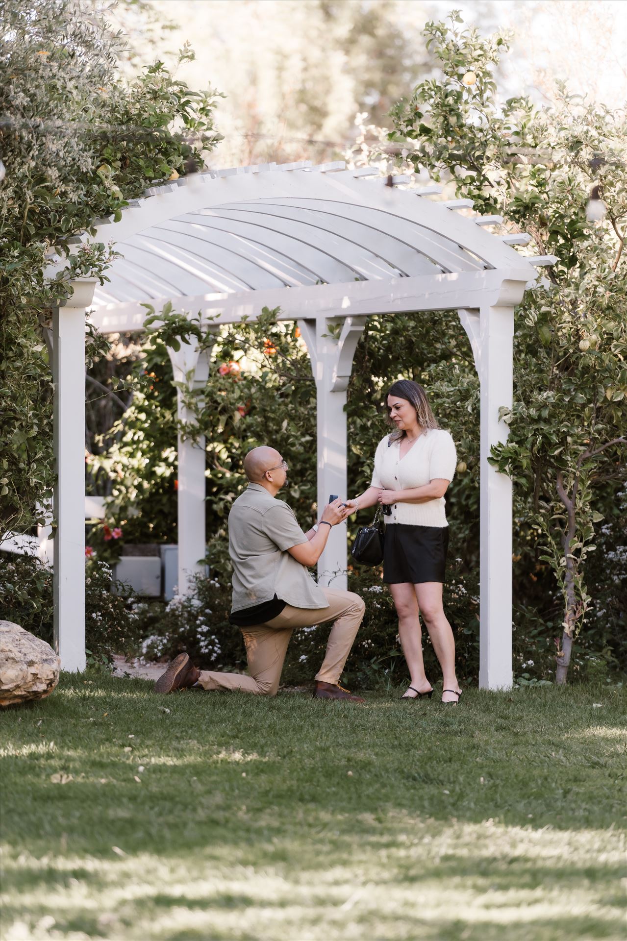 Final-5168.jpg  by Sarah Williams