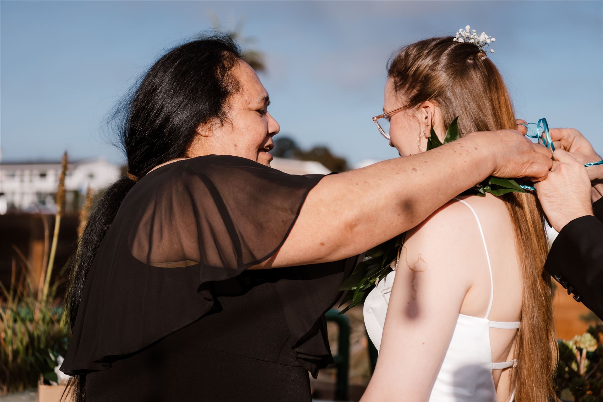 Final-7809.jpg  by Sarah Williams