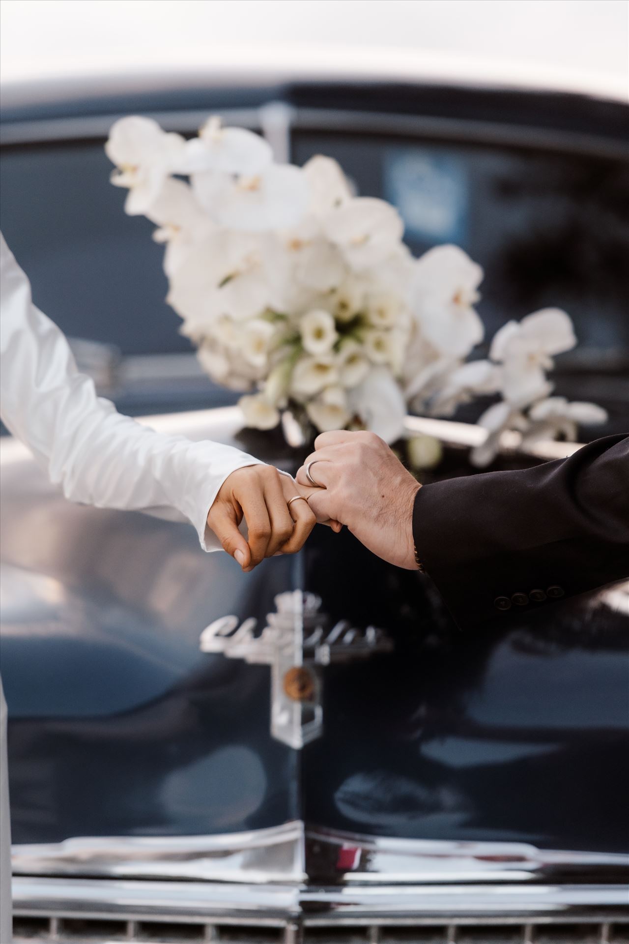 BG Final-2553.jpg  by Sarah Williams