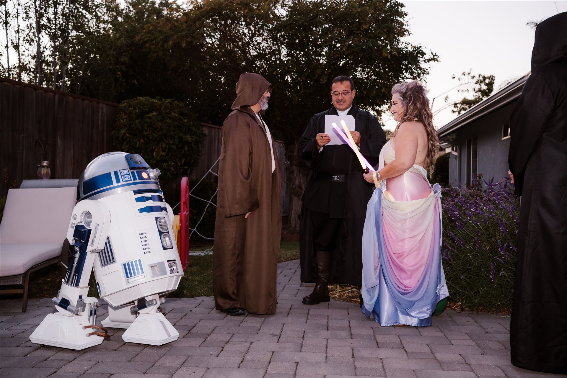 Final-7342.jpg  by Sarah Williams