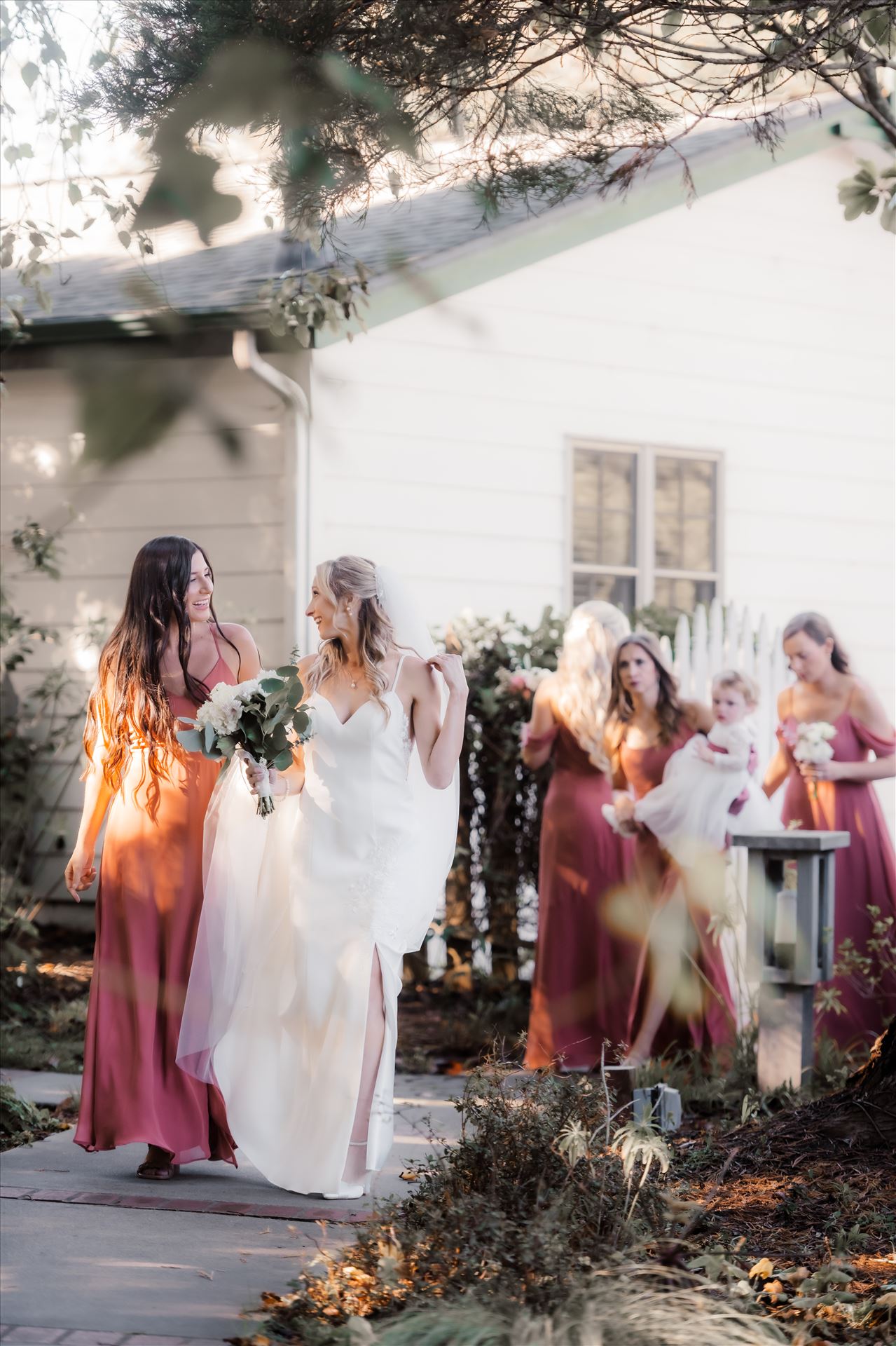 Final-9716.jpg  by Sarah Williams