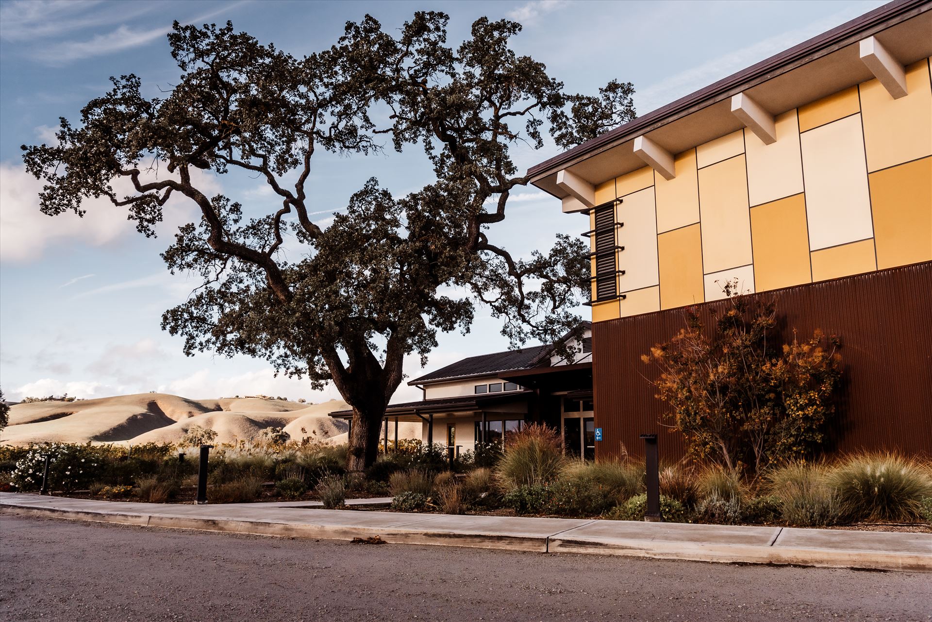 Final-9074.jpg  by Sarah Williams